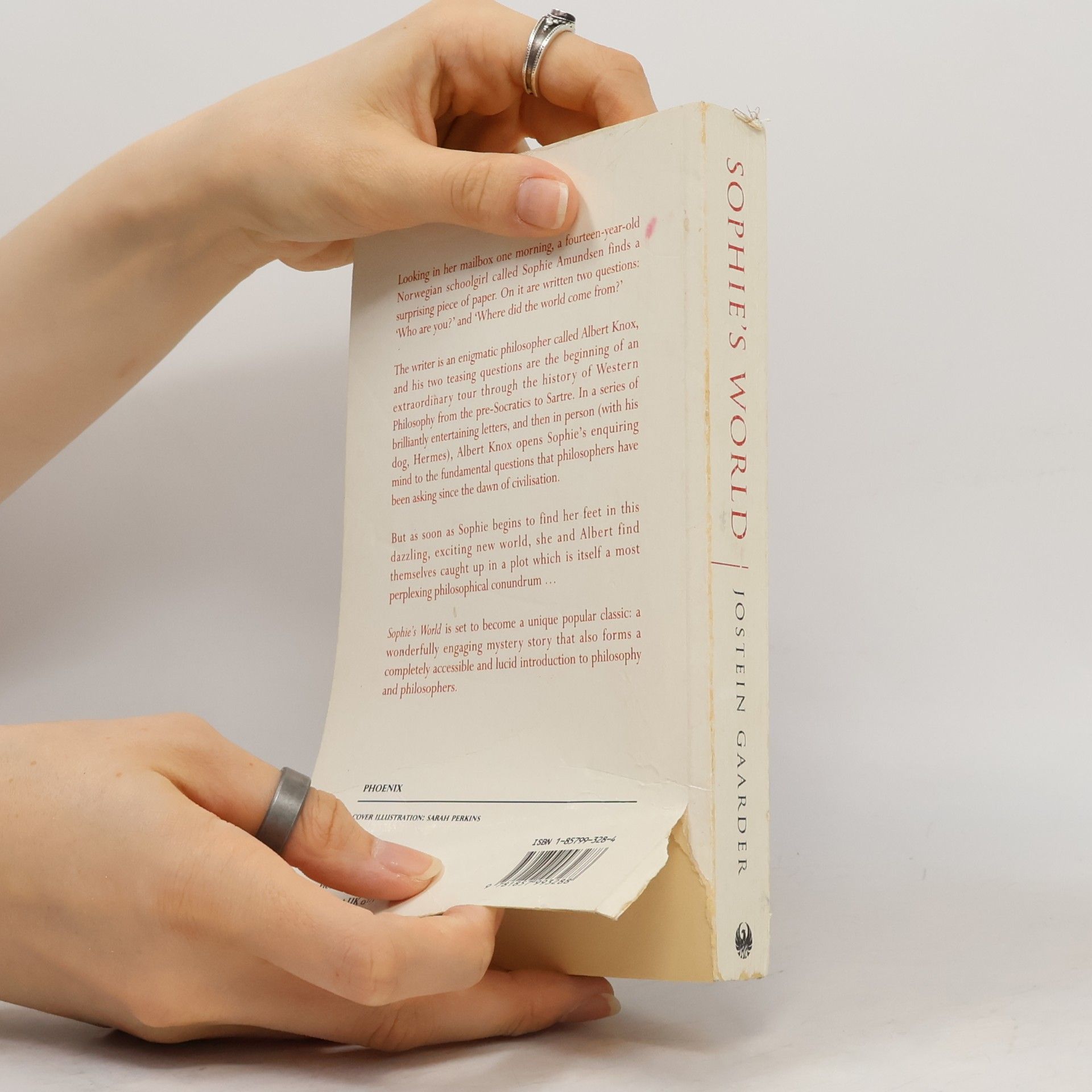 Jostein Gaarder Sophie's World