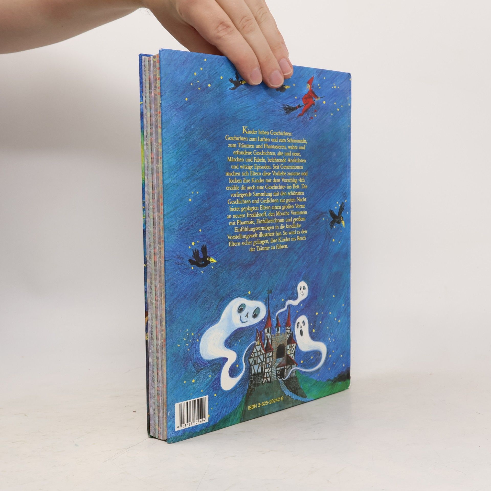 Waltraud Still Das grosse Gutenachtbuch für kleine Träumer