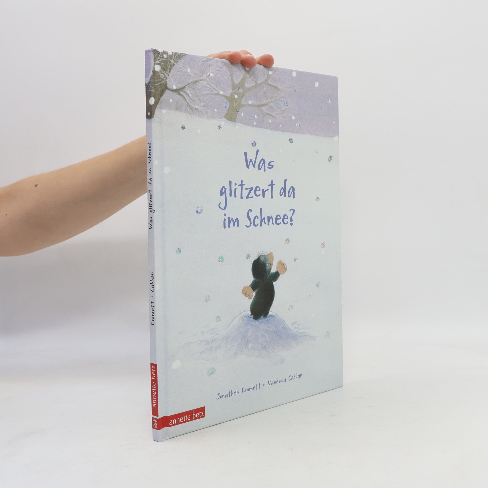 Jonathan Emmett Was glitzert da im Schnee?