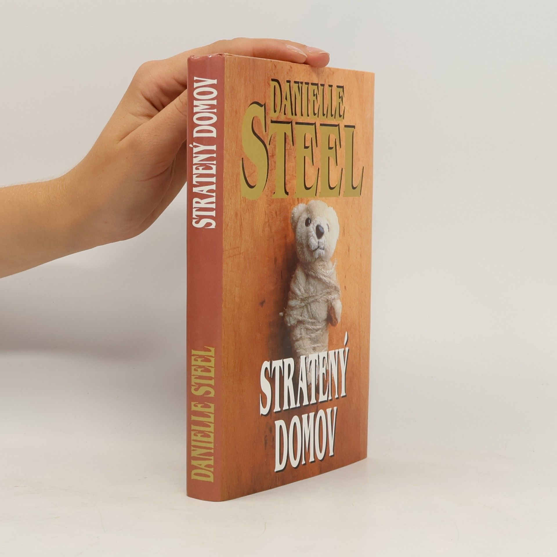 Danielle Steel Stratený domov