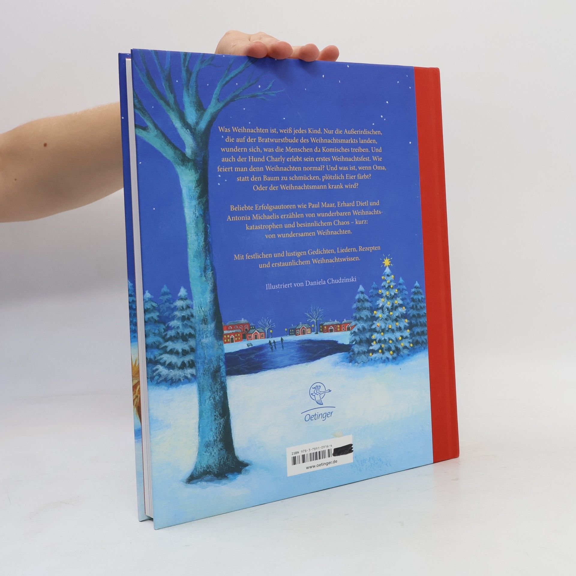 Daniela Chudzinski Wundersame Weihnachten