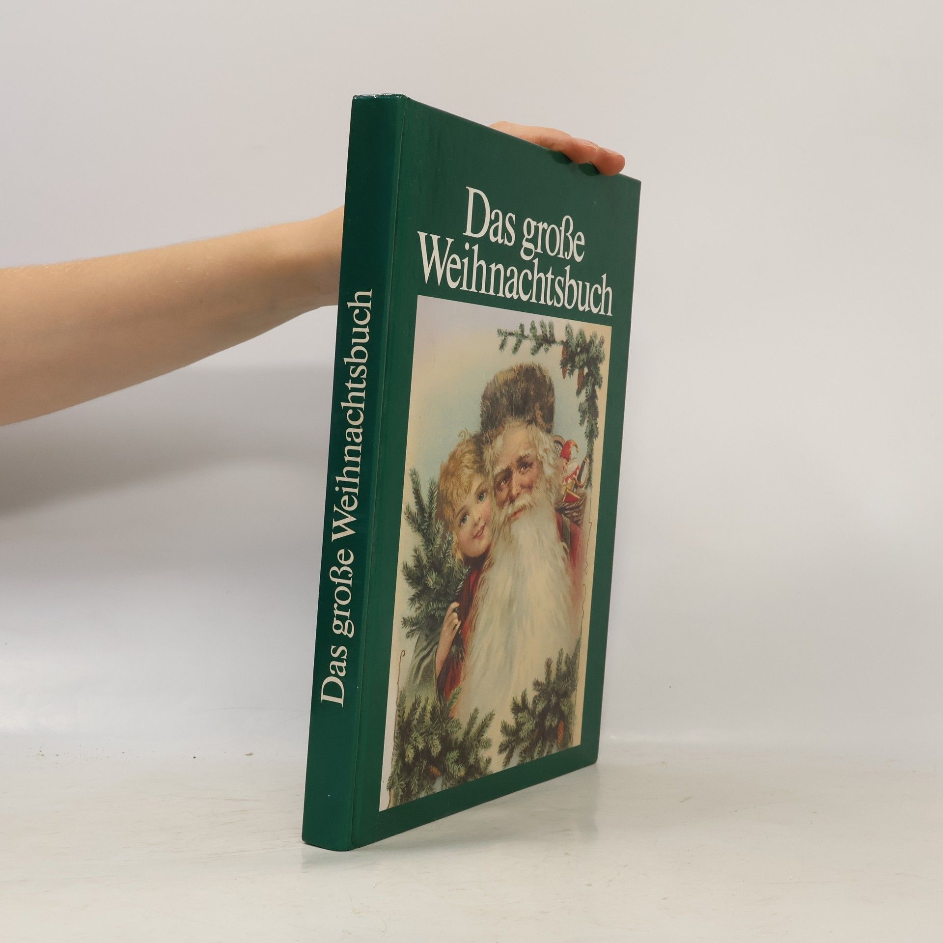Autores varios Das große Weihnachtsbuch