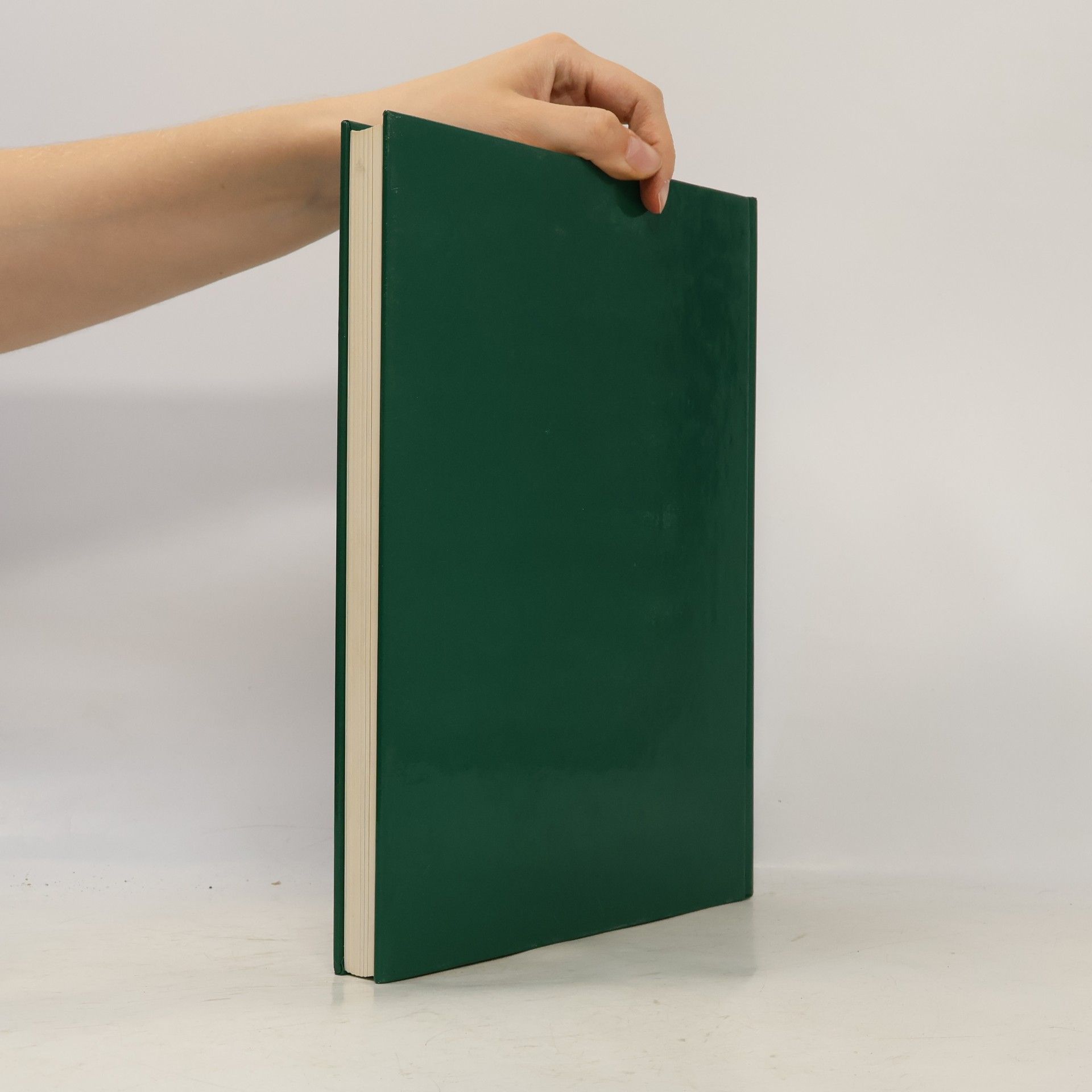 kolektiv Das große Weihnachtsbuch
