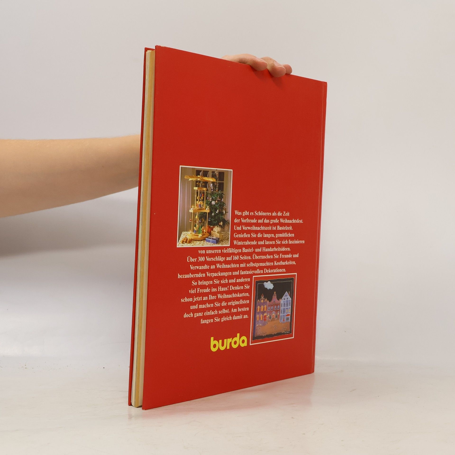 Kolektiv autorů Das grosse Weihnachtsbuch