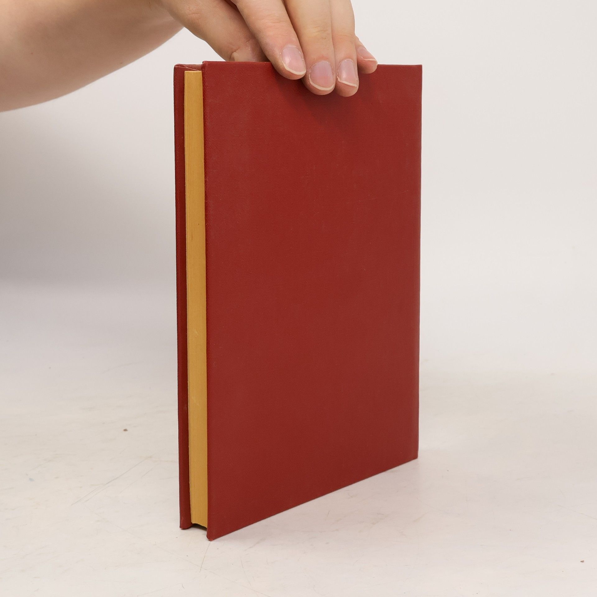 I. N. Bronštejn Taschenbuch der Mathematik