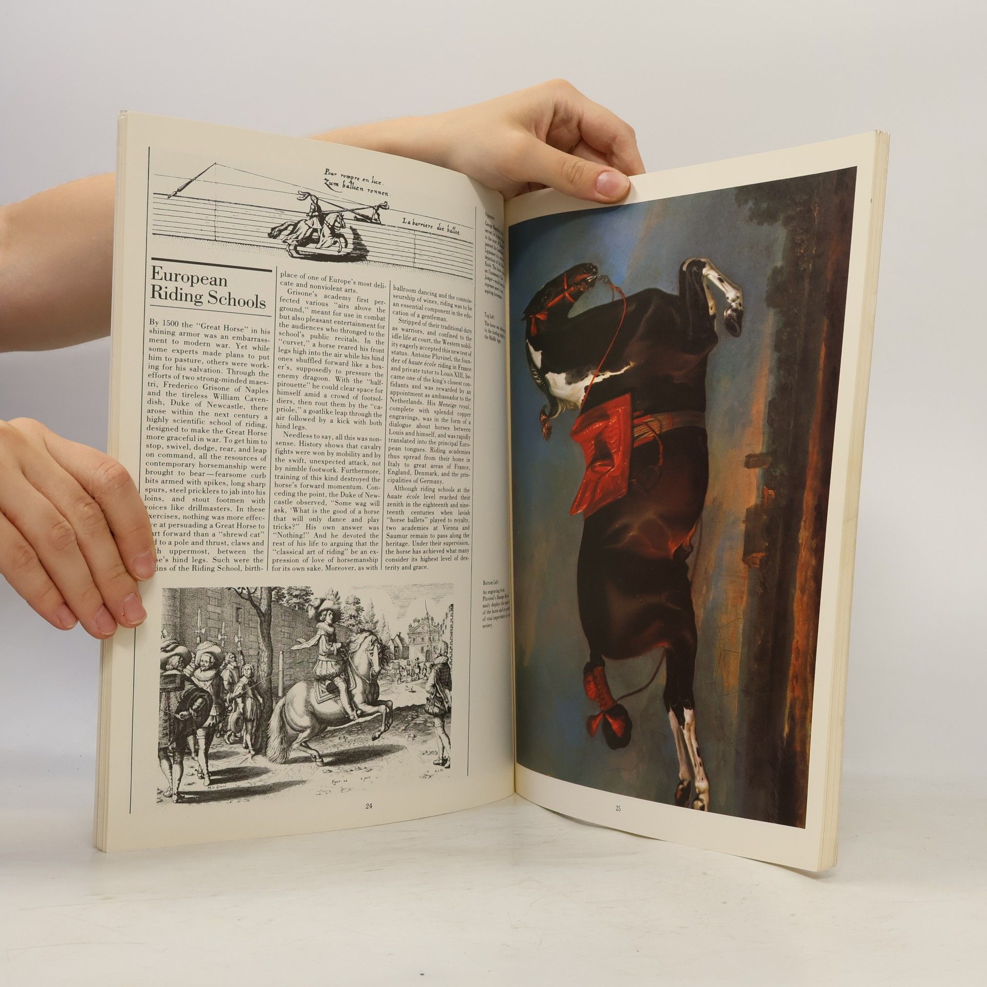 Jean-Claude Suarès The Illustrated Horse