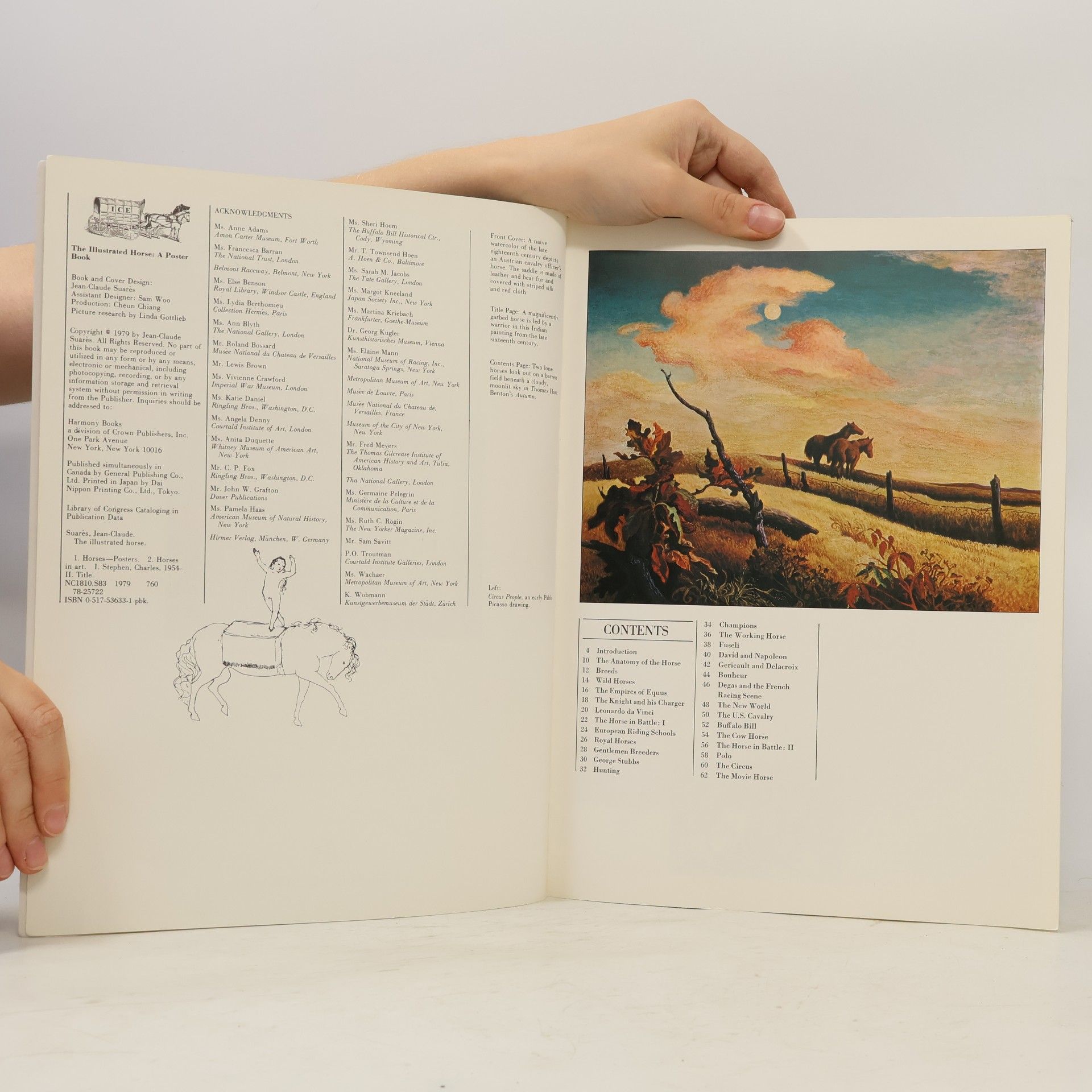 Jean-Claude Suarès The Illustrated Horse