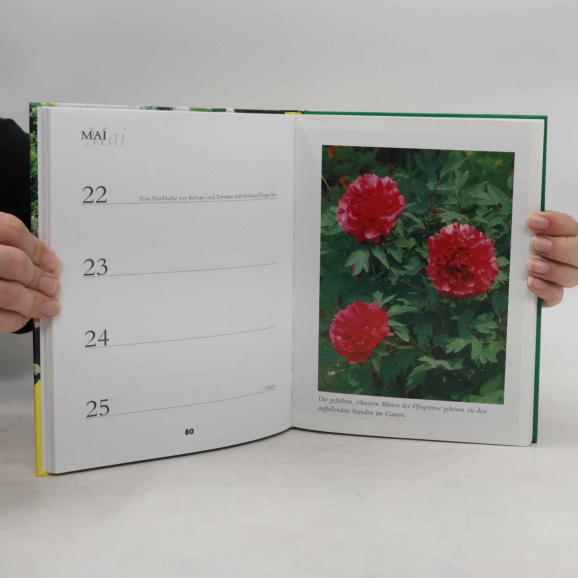 Sebastian Holzner Der große Gartenkalender für jedes Jahr