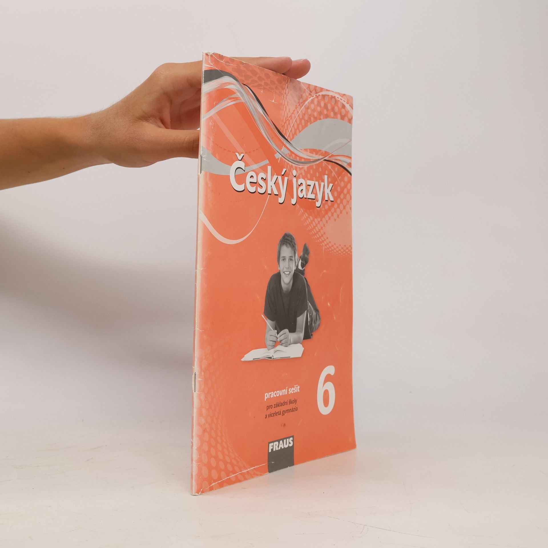 Český jazyk 6 : pracovní sešit : pro základní školy a víceletá gymnázia
