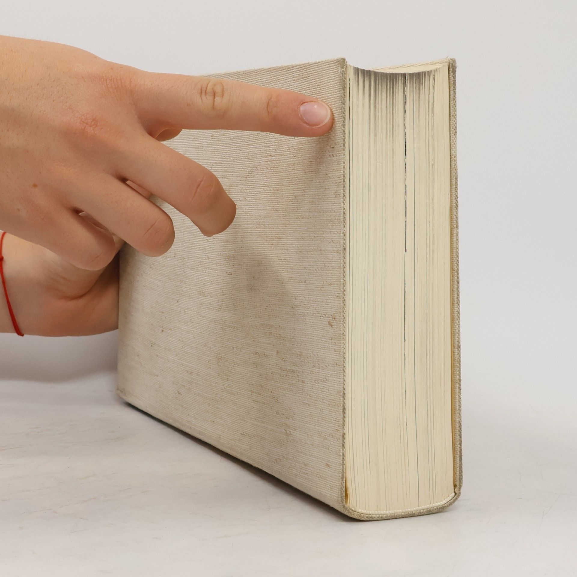 Georg Schwaiger Geschichte der Päpste