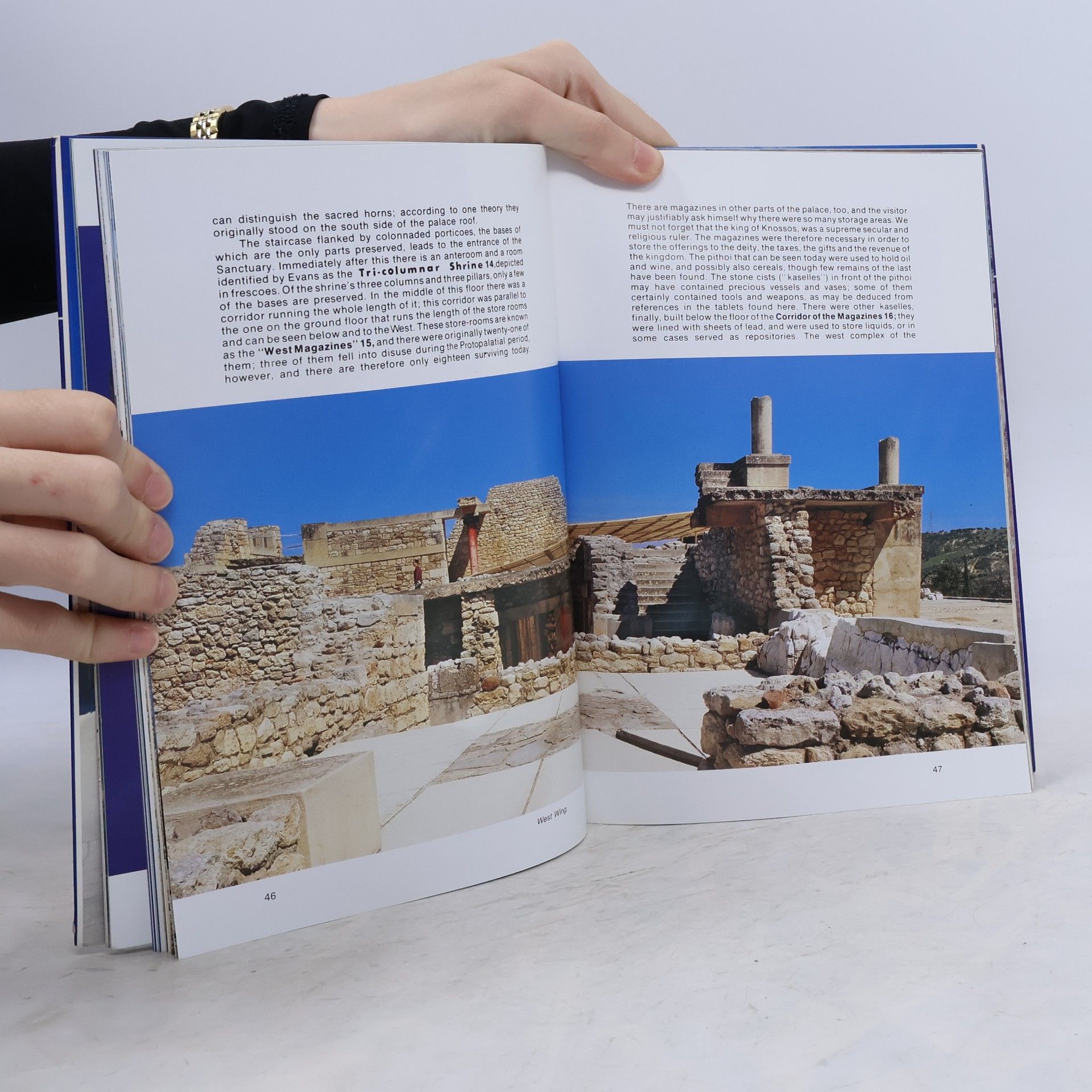 Sosso Logiadou-Platonos Knossos. The Minoan Civilization