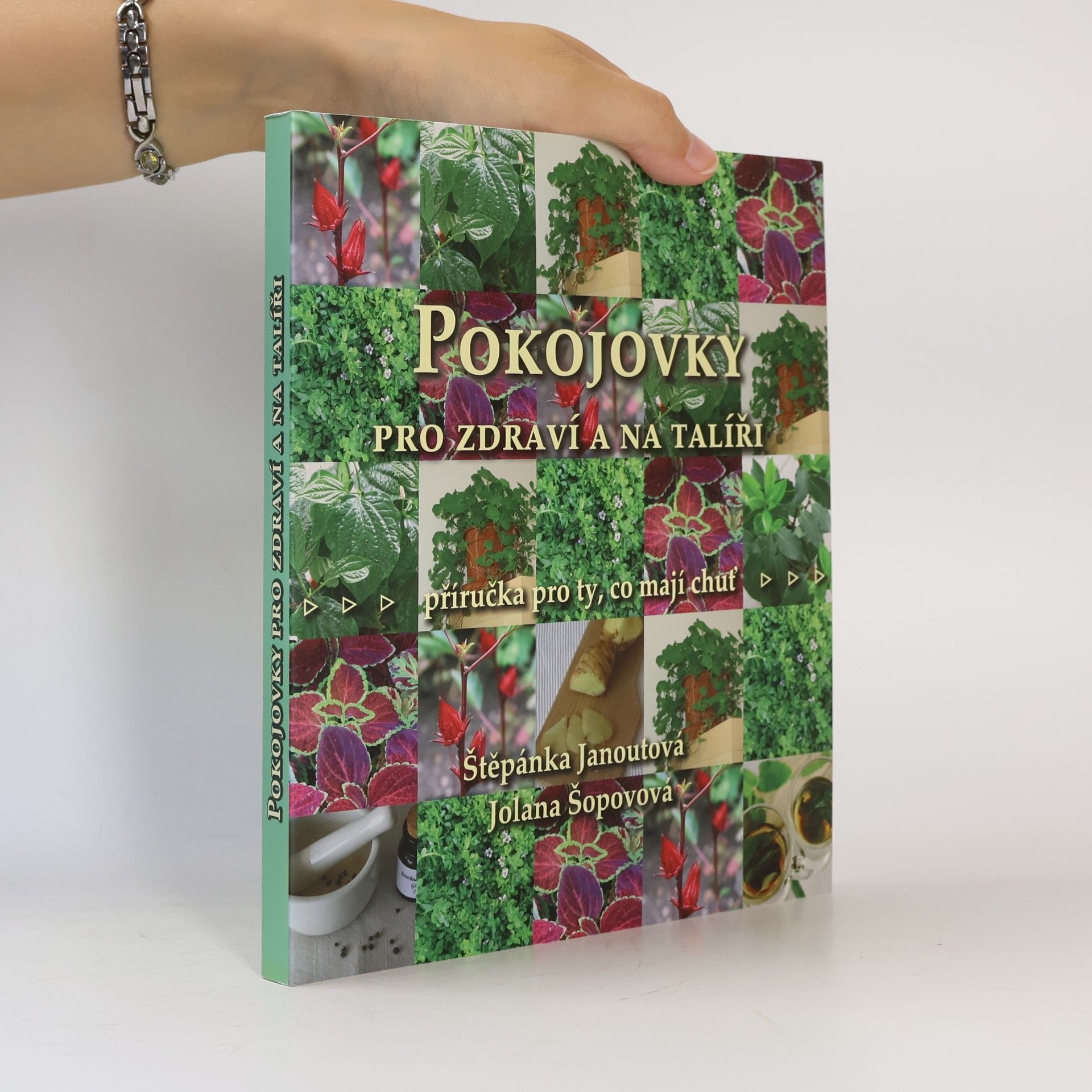 Jolana Křížkovská Pokojovky pro zdraví a na talíři