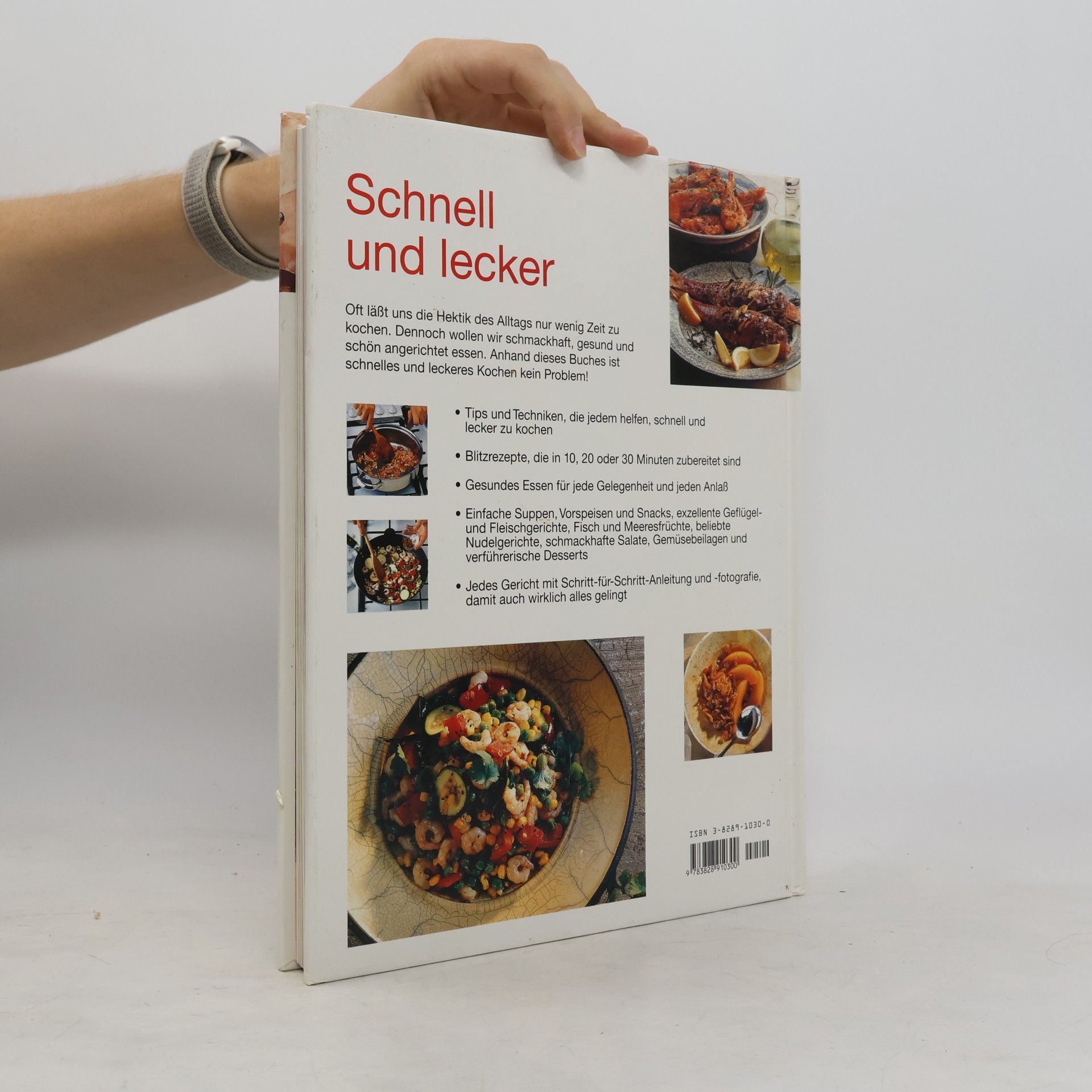 Kolektiv autorů Über 220 köstliche Schnellrezepte
