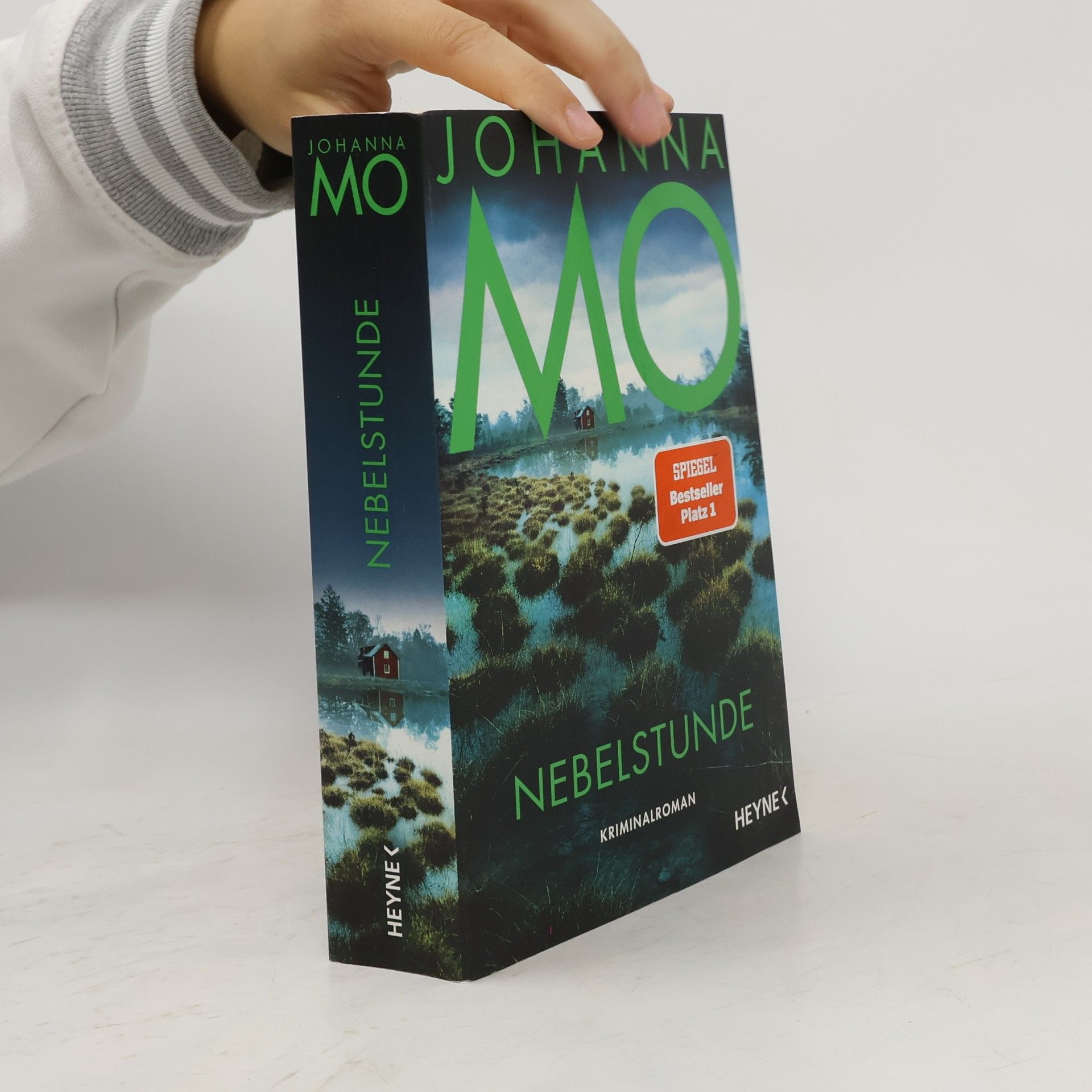 Johanna Mönch Nebelstunde