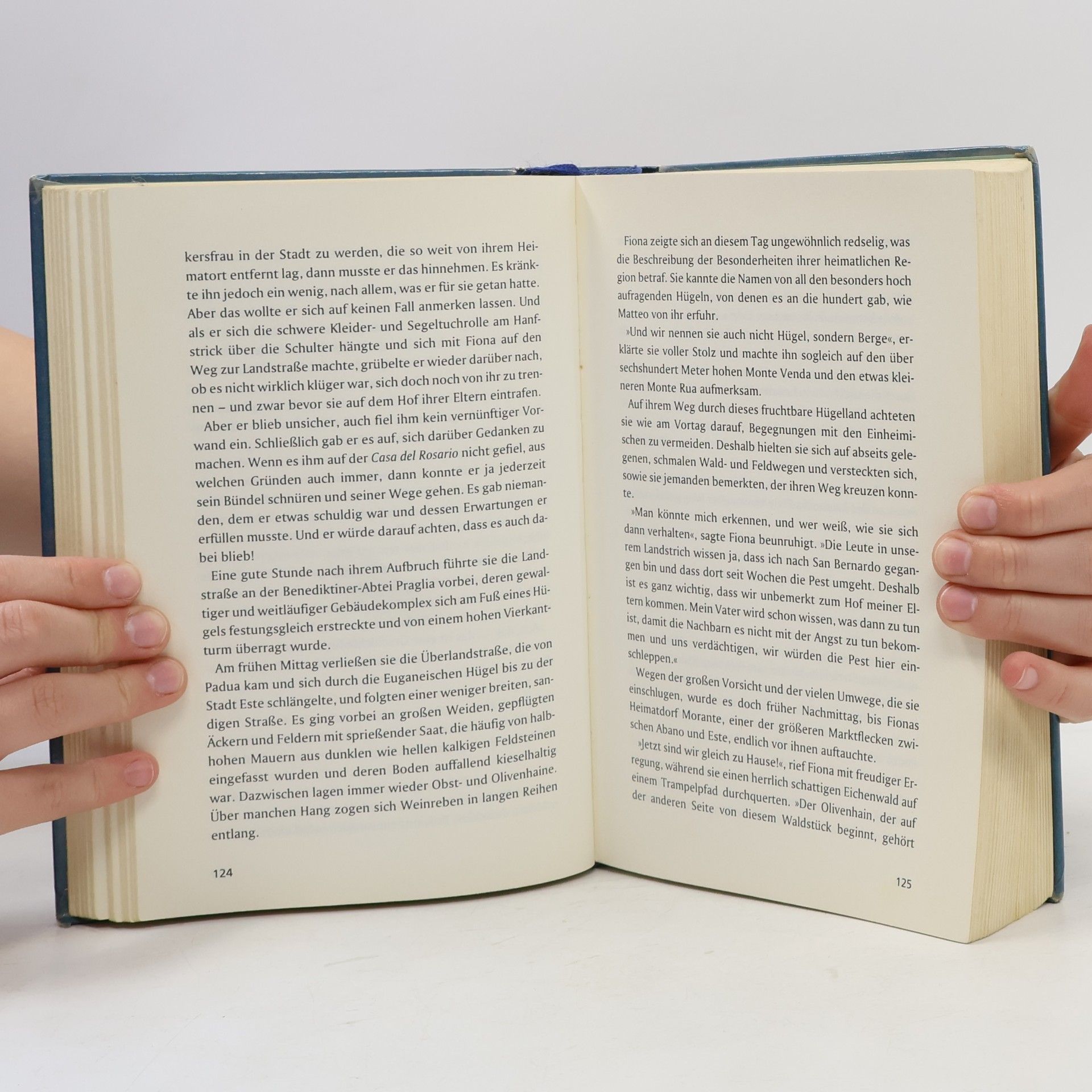 Rainer M. Schröder Die Lagune der Galeeren