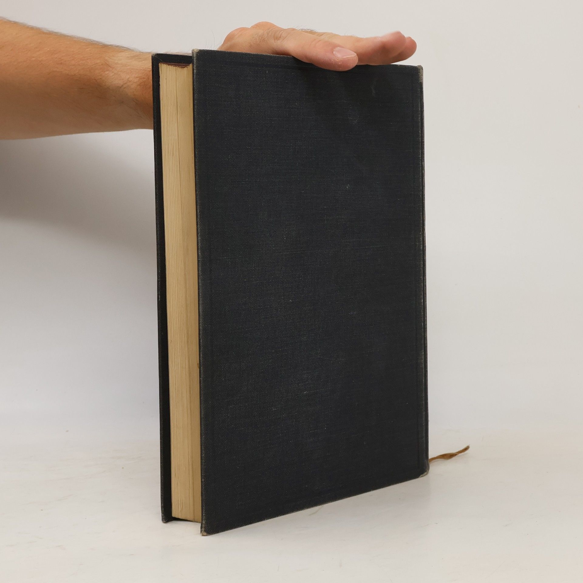 Richard Muther Geschichte der Malerei II