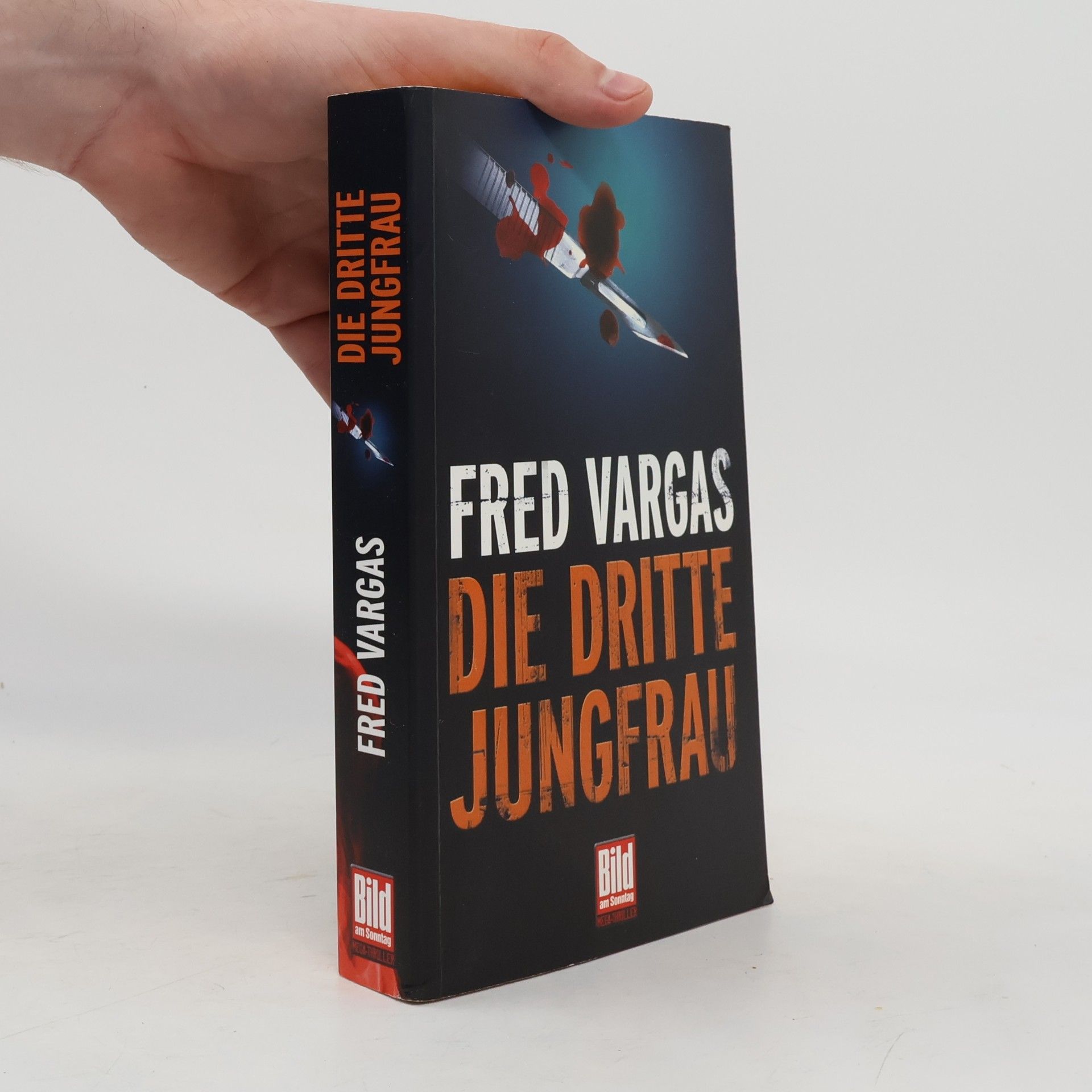 Fred Vargas Die dritte Jungfrau