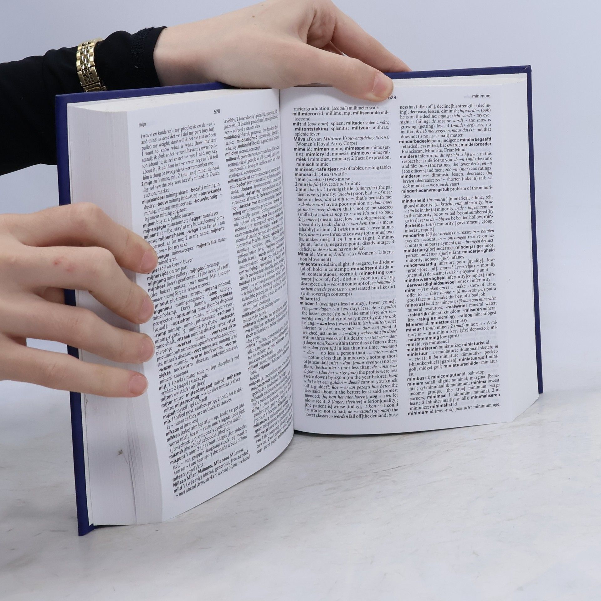 Karel Ten Bruggencate Wolters' handwoordenboeken: Wolters' handwoordenboek Nederlands-Engels