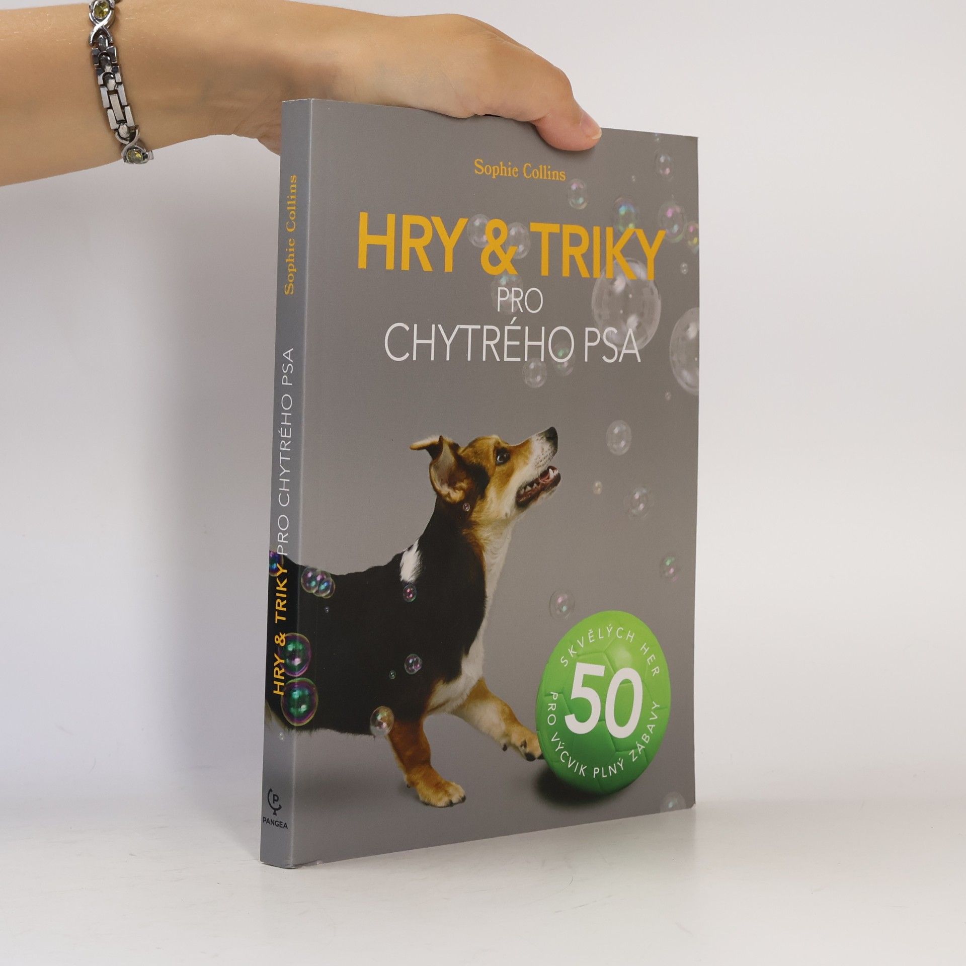 Sophie Collins Hry & triky pro chytrého psa