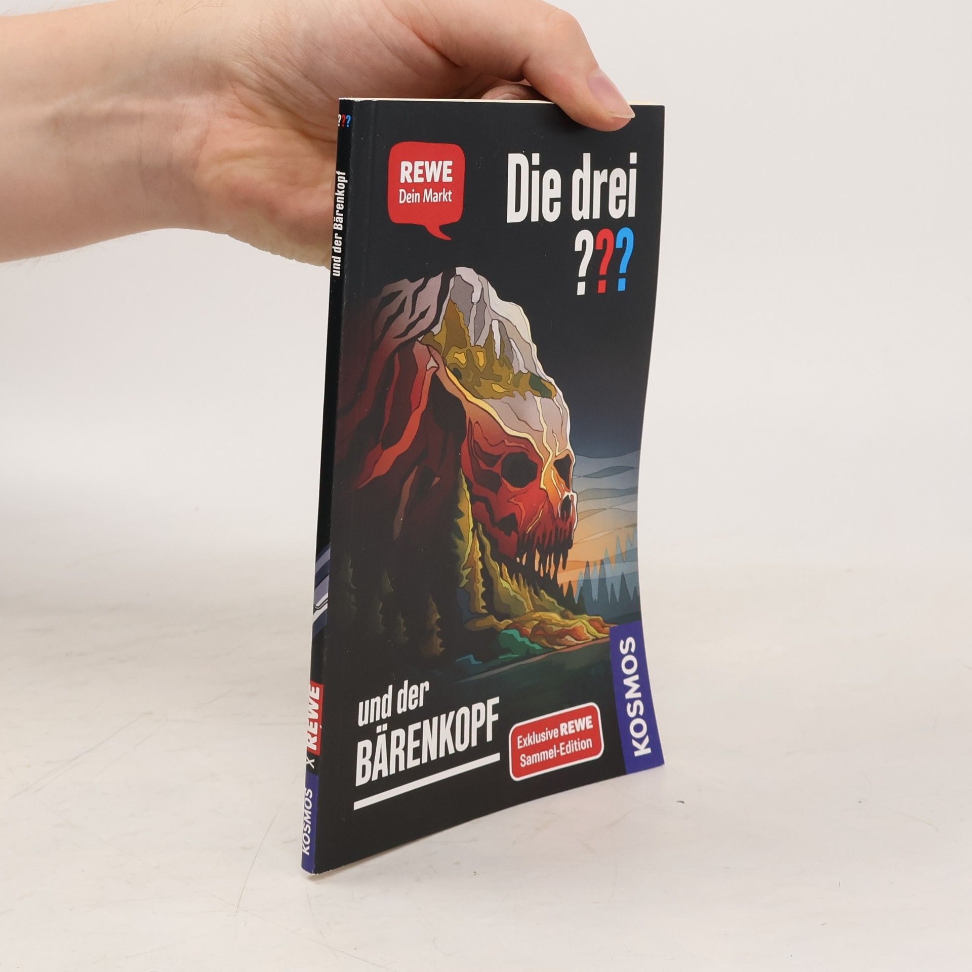 Andreas Ruch Die drei ??? und der Bärenkopf