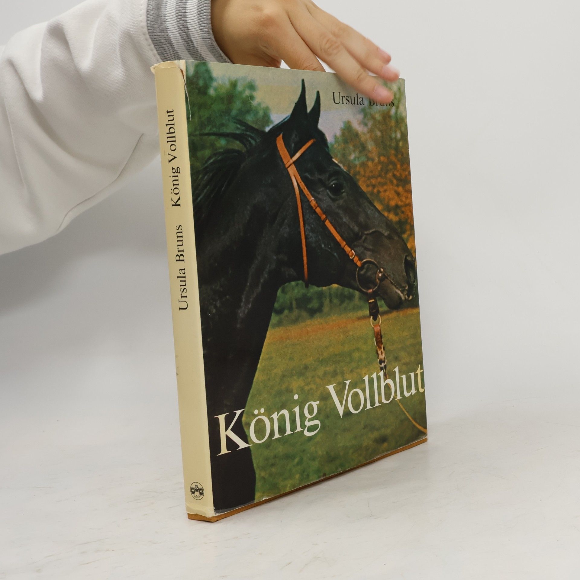 König Vollblut