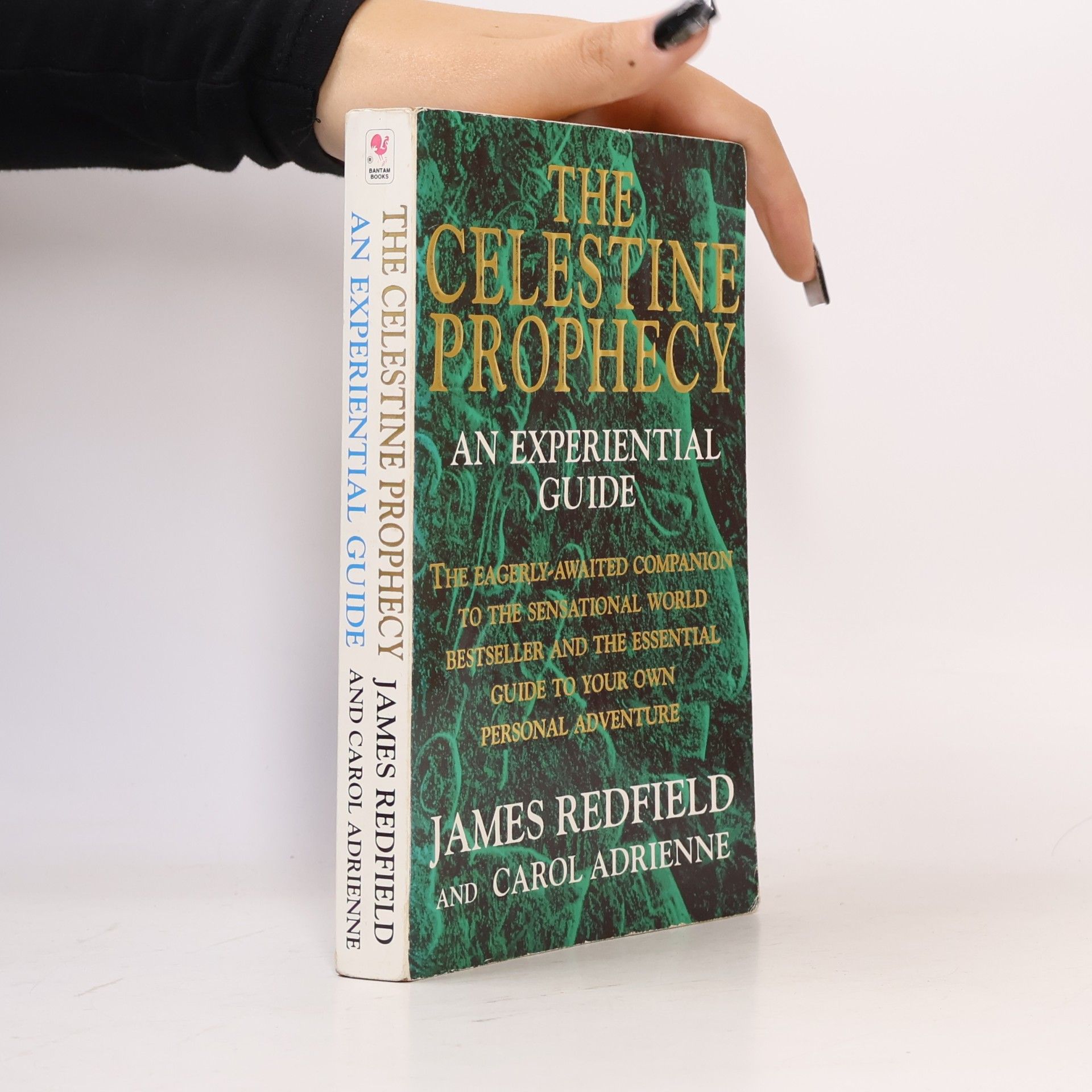 Carol Adrienne The celestine prothecy an experiential guide