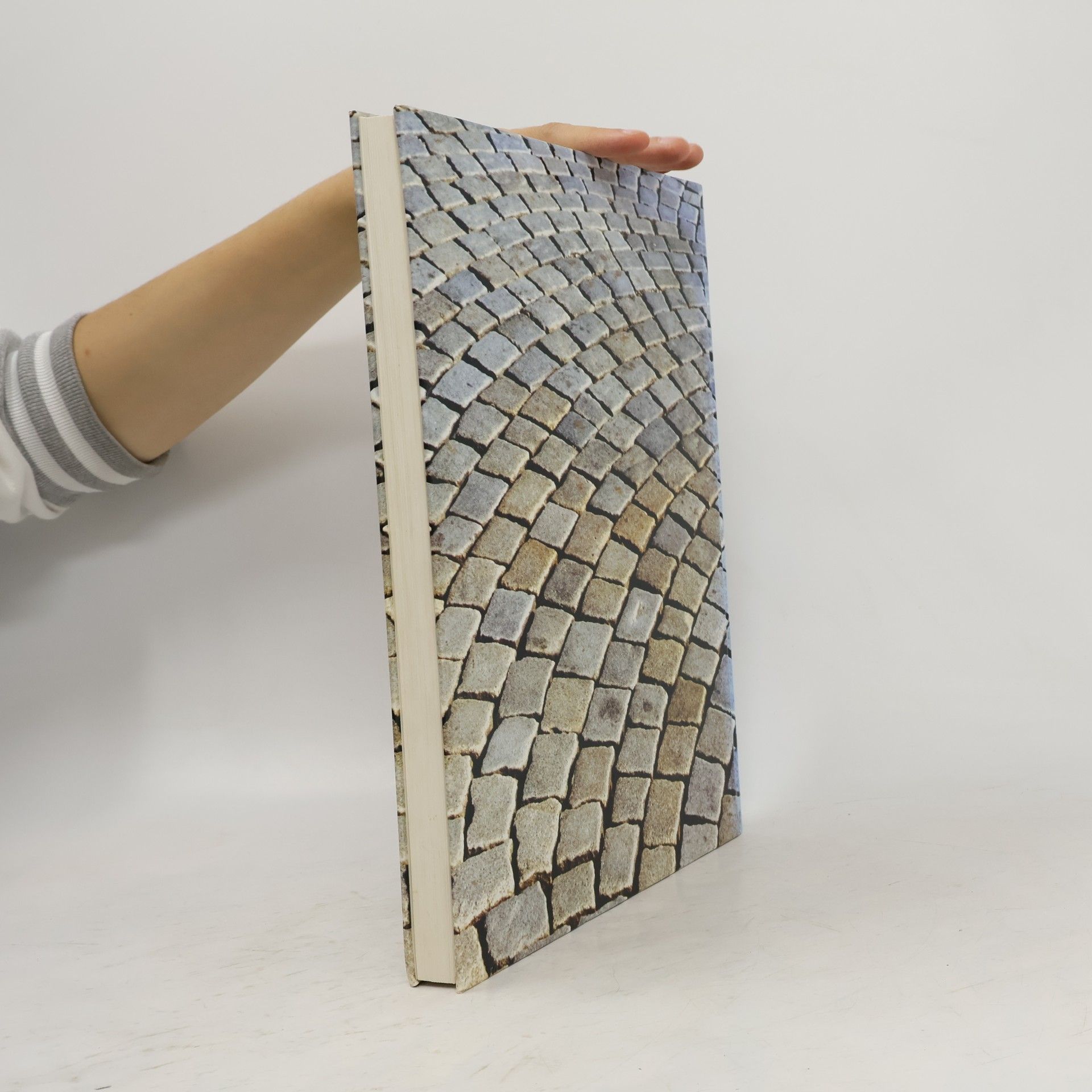 kolektiv Die Kunst des Pflasterns mit Natursteinen