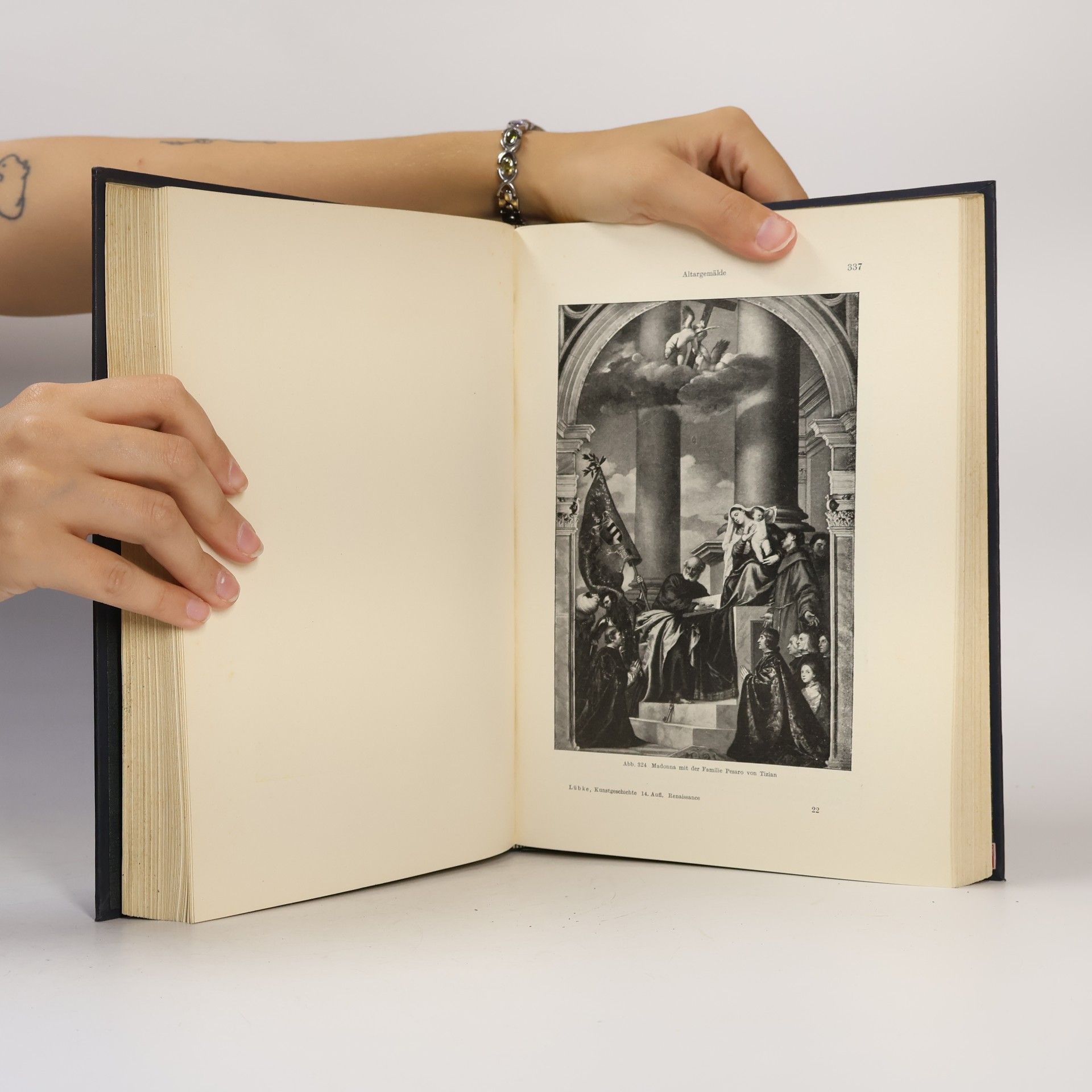 Max Dr. Semrau Die Kunst der Renaissance in Italien und im Norden