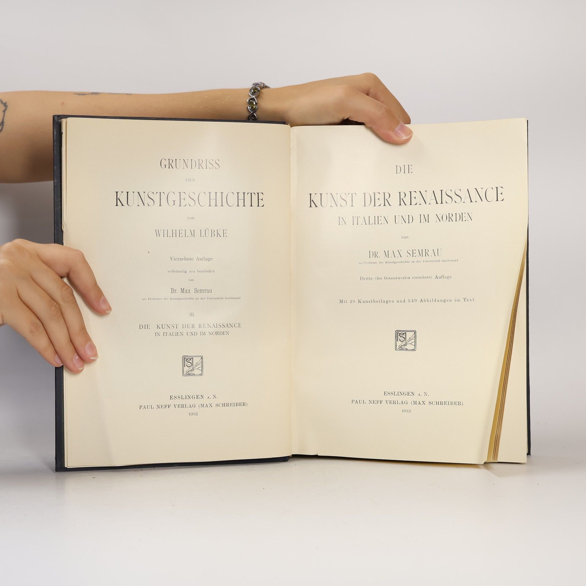 Max Dr. Semrau Die Kunst der Renaissance in Italien und im Norden