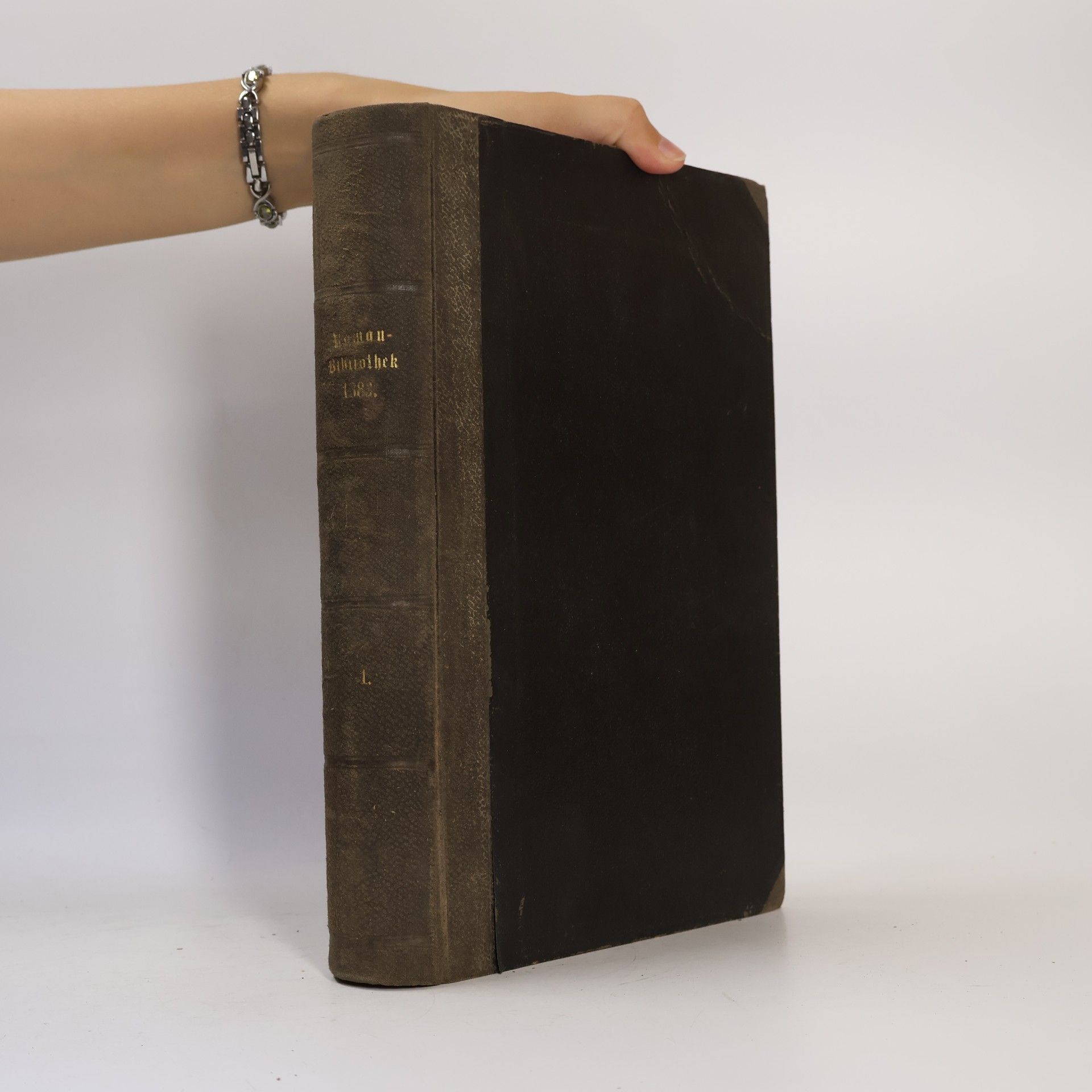 Autorenkollektiv Deutsche Roman-Bibliothek zu Ueber Land und Meer. Erster Band