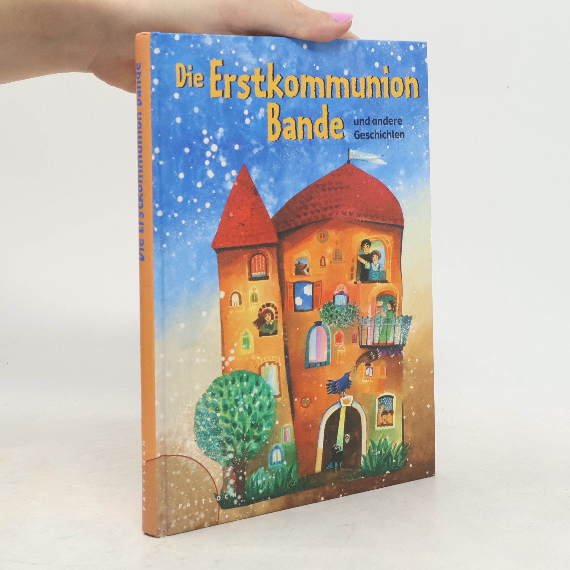 Luise Holthausen Die Erstkommunionbande und andere Geschichten