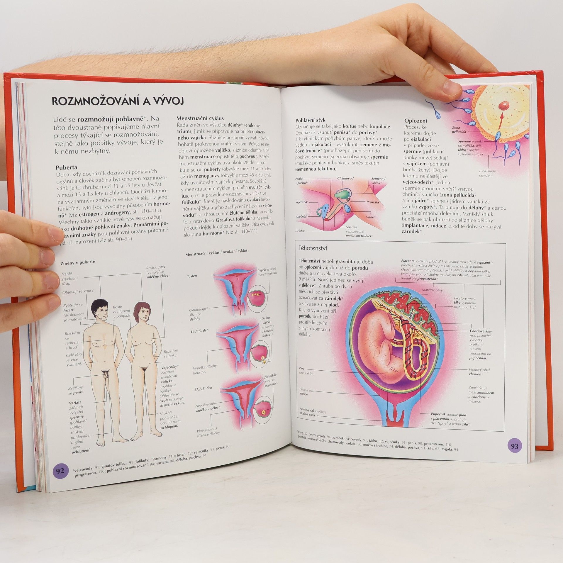 Corinne Stockley Biologie
