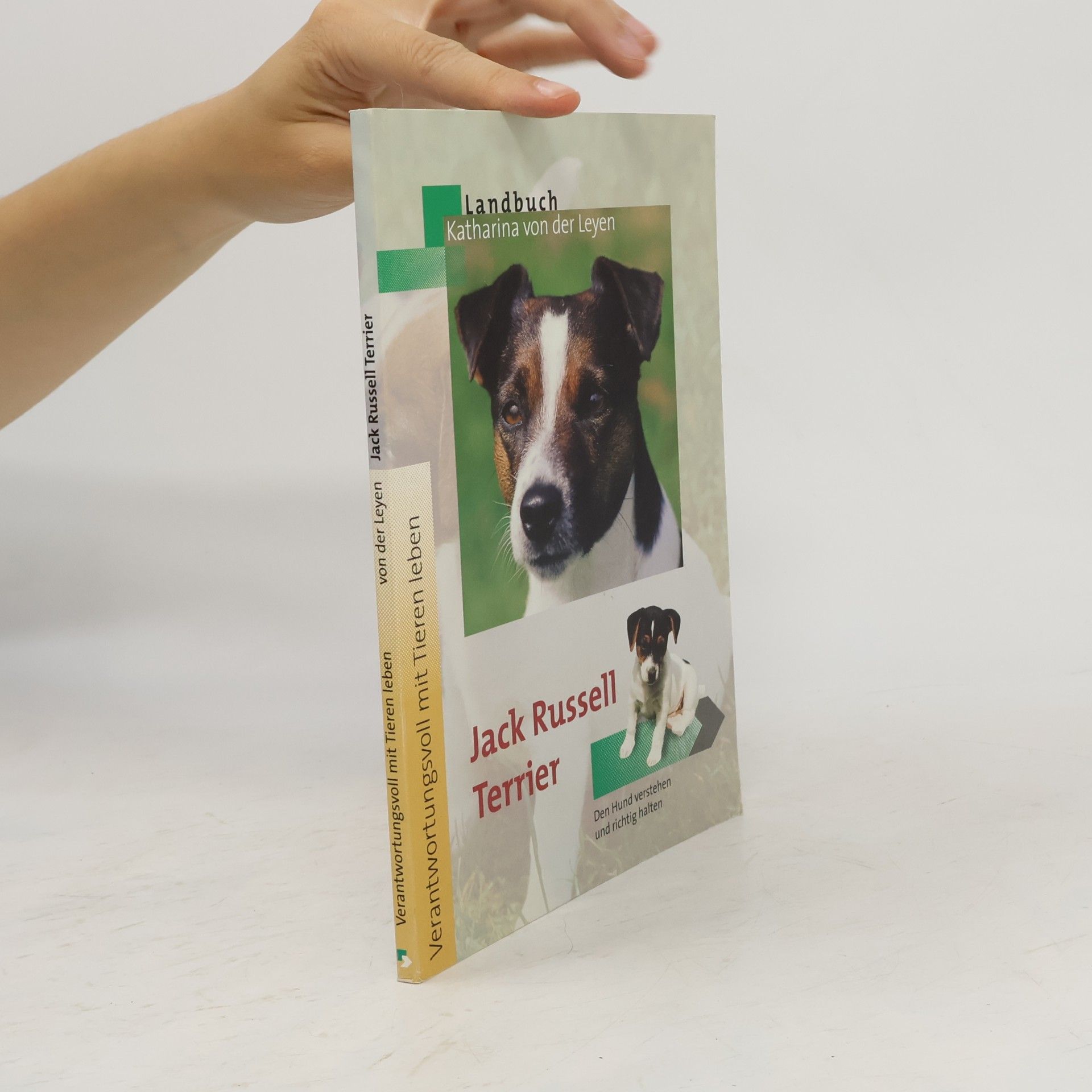 Katharina Leyen Jack-Russell-Terrier