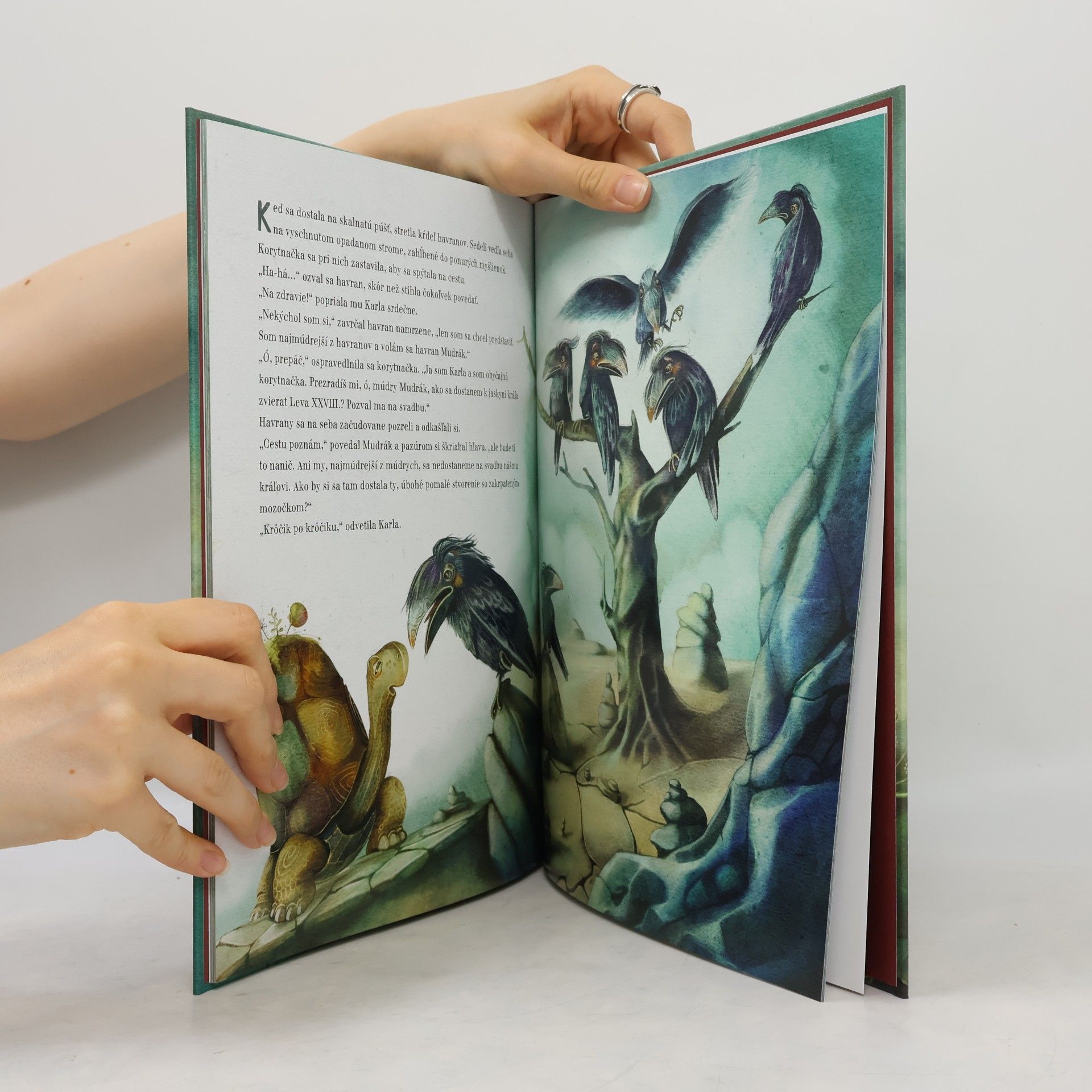 Michael Ende Vytrvalá korytnacka Karla
