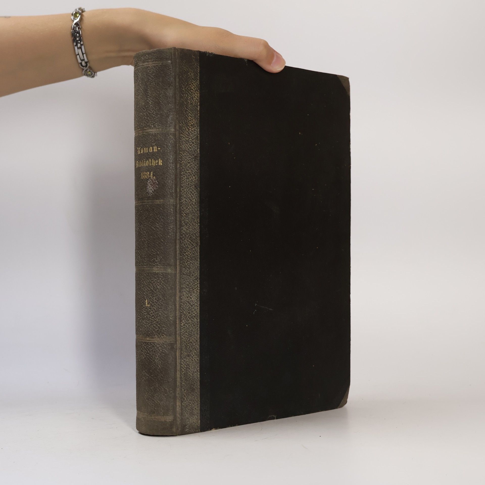 Autorenkollektiv Deutsche Roman-Bibliothek zu Ueber Land und Meer. Erster Band