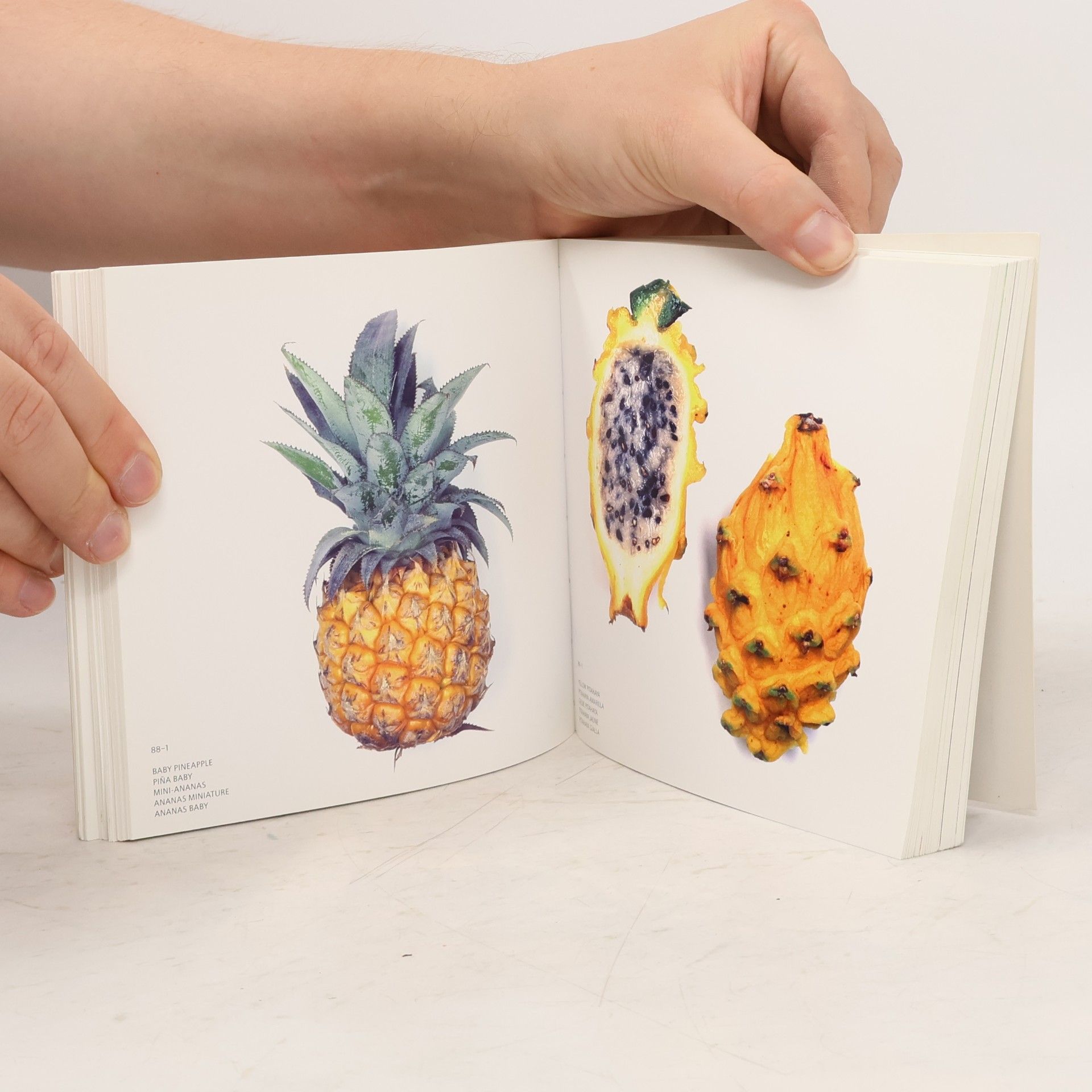 Kolektiv autorů Fruit - The Agile Rabbit Visual Dictionary