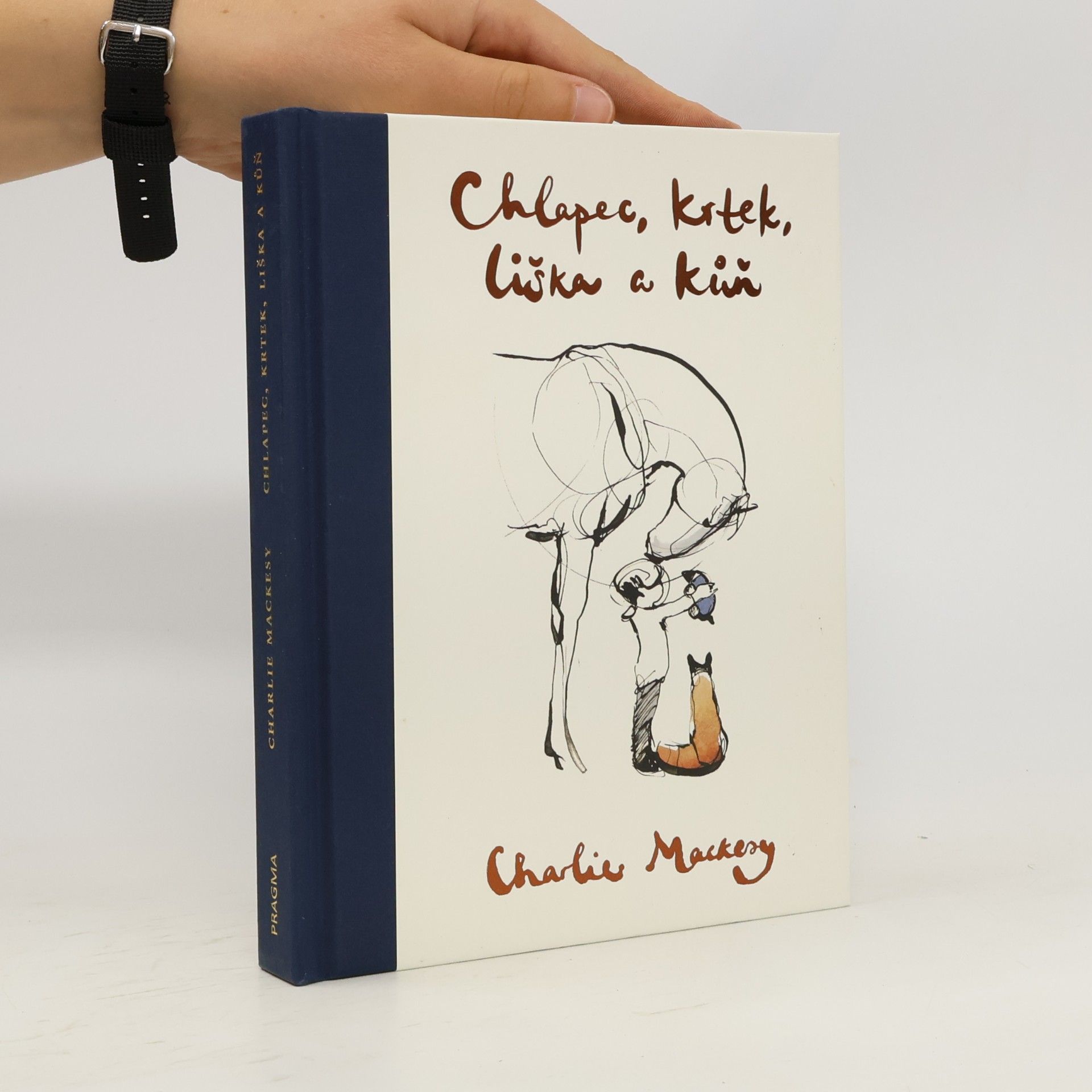 Charlie Mackesy Chlapec, krtek, liška a kůň