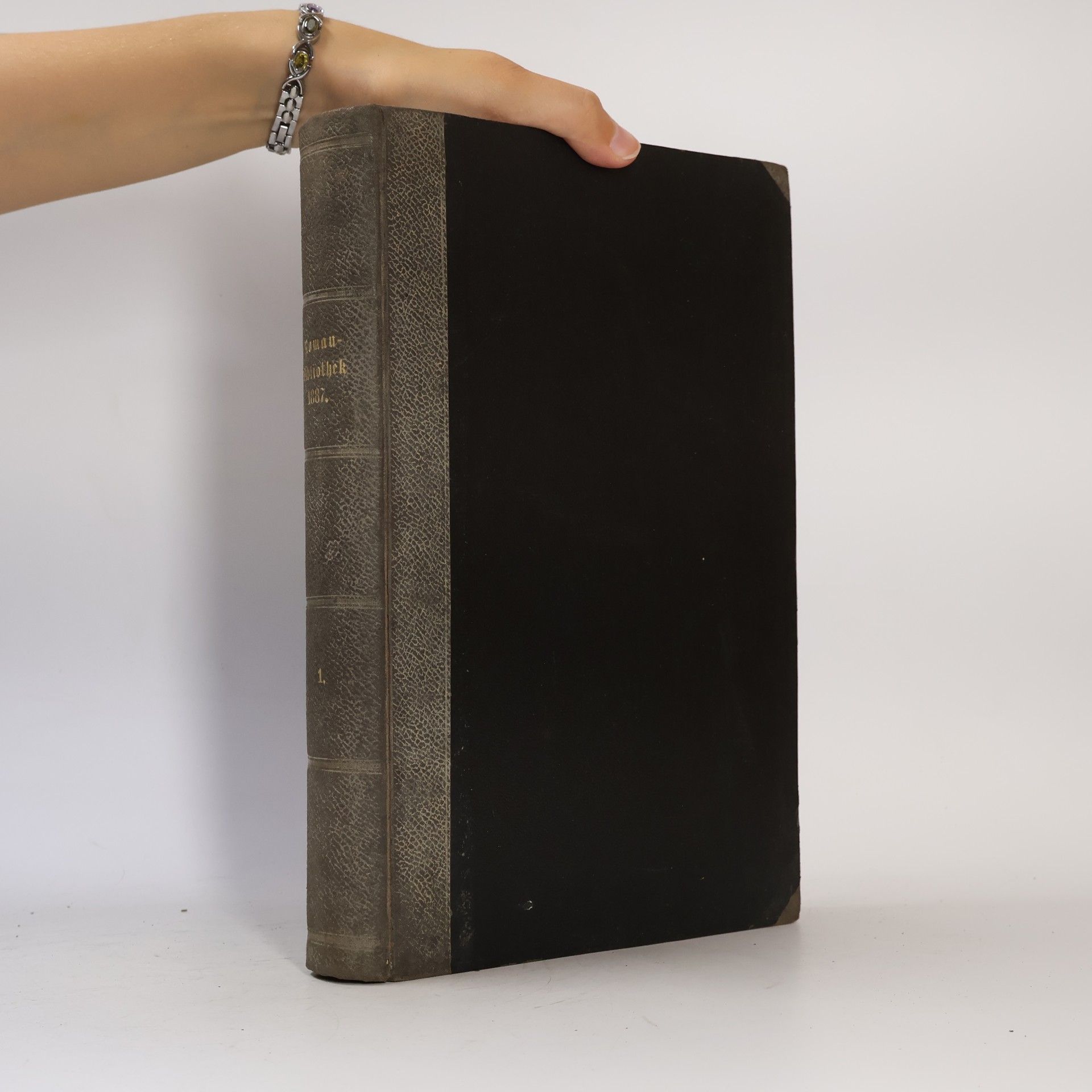 Autorenkollektiv Deutsche Roman-Bibliothek zu Ueber Land und Meer. Erster Band