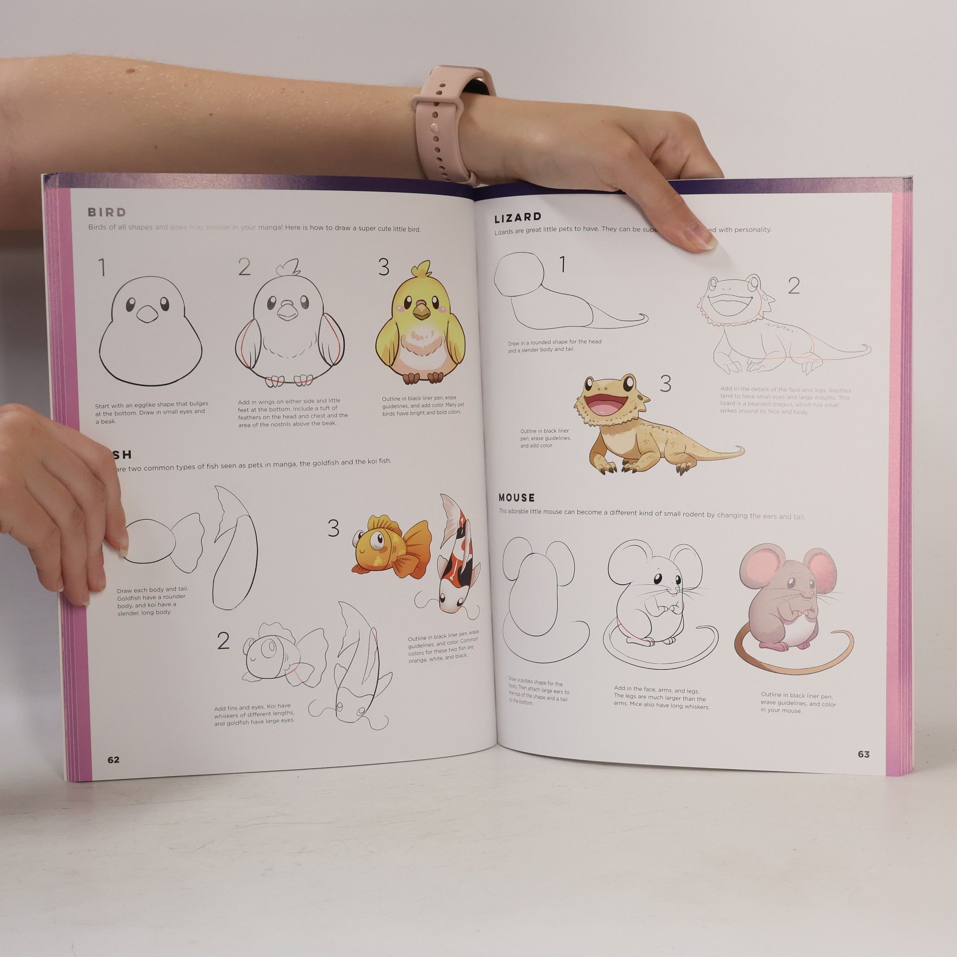 Talia Horsburgh The Art of Drawing Manga