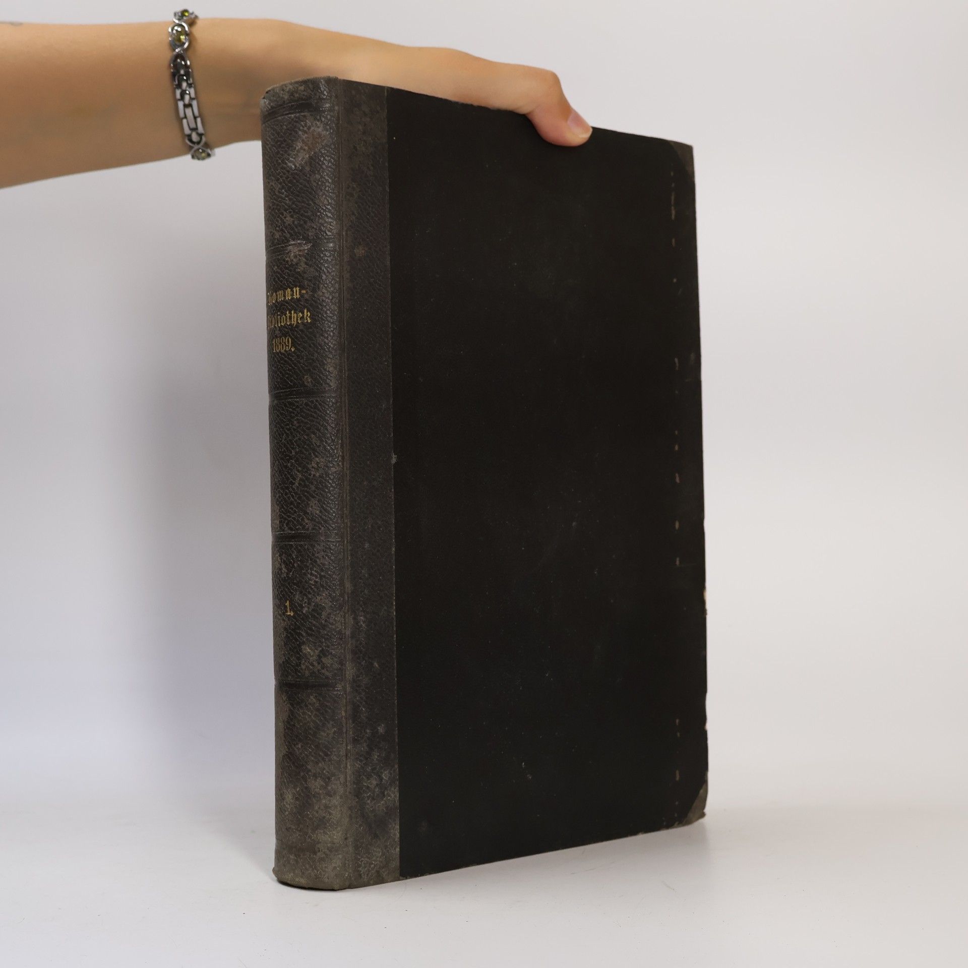 Autorenkollektiv Deutsche Roman-Bibliothek zu Ueber Land und Meer. Erster Band