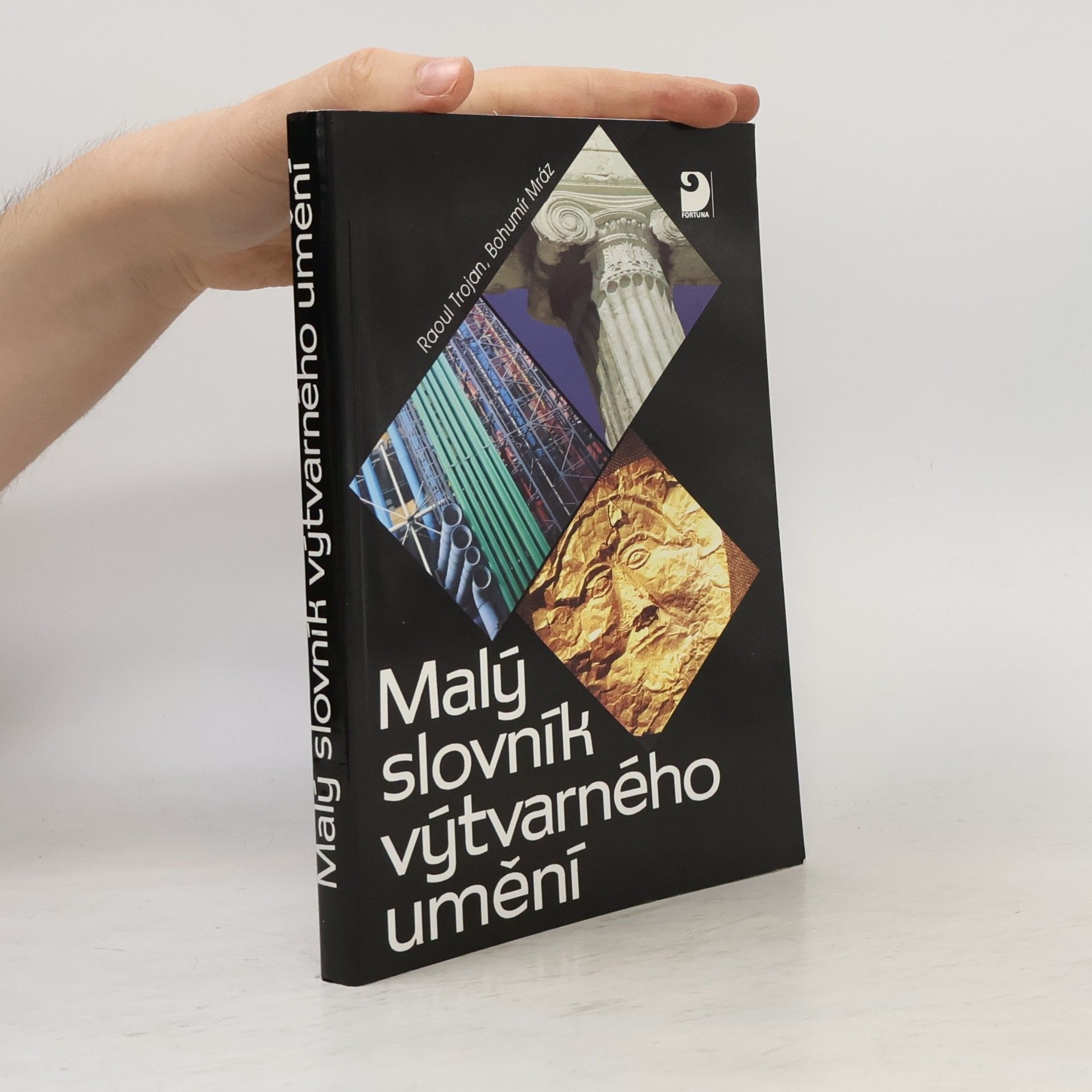 Raul Trojan Malý slovník výtvarného umění