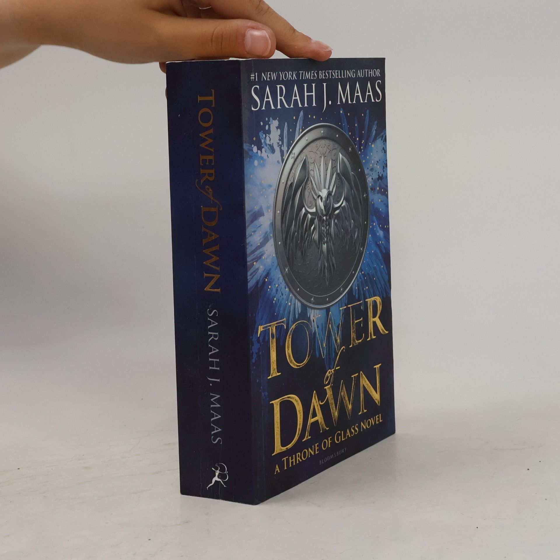 Sarah J. Maas Tower of dawn