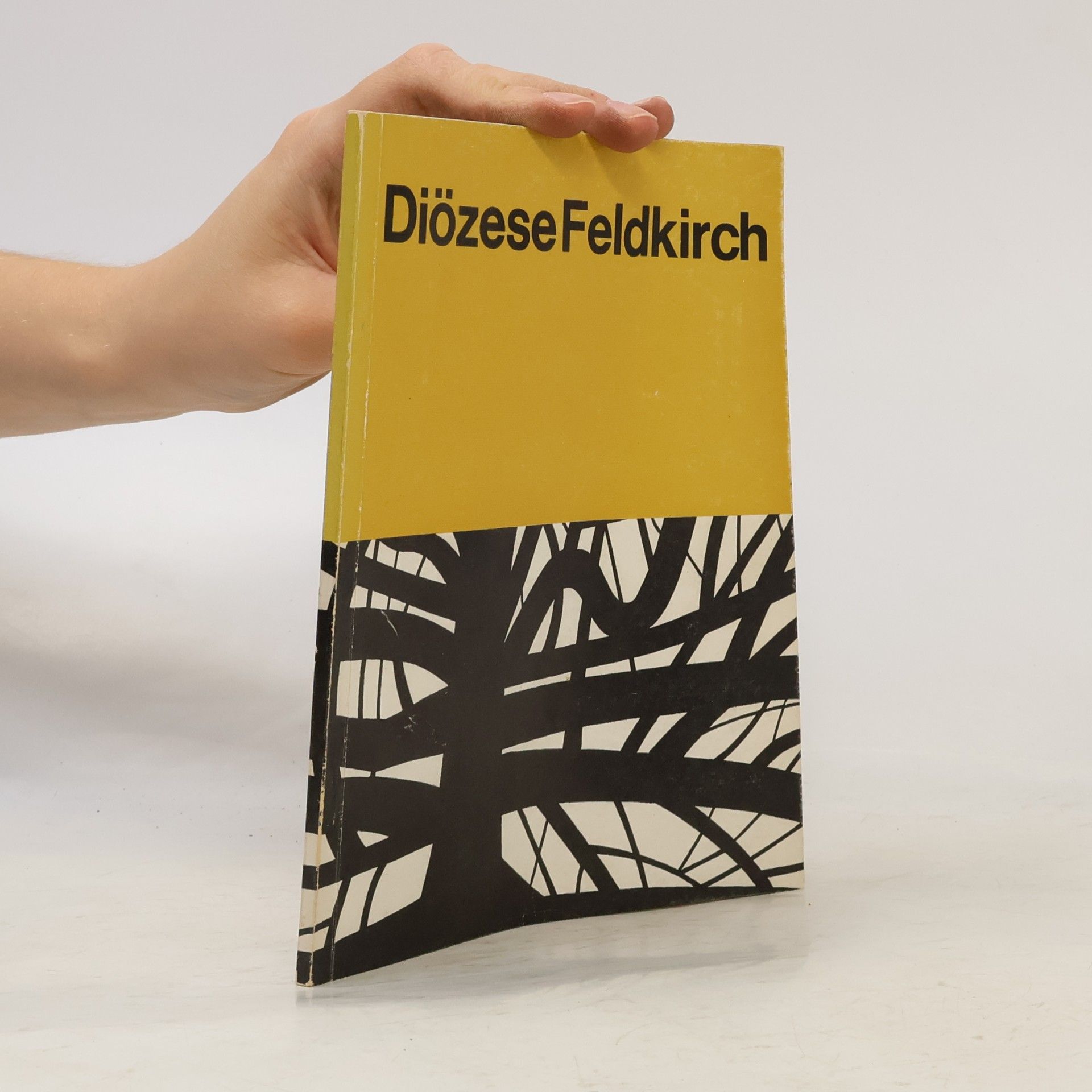 kolektiv Diözese Feldkirch