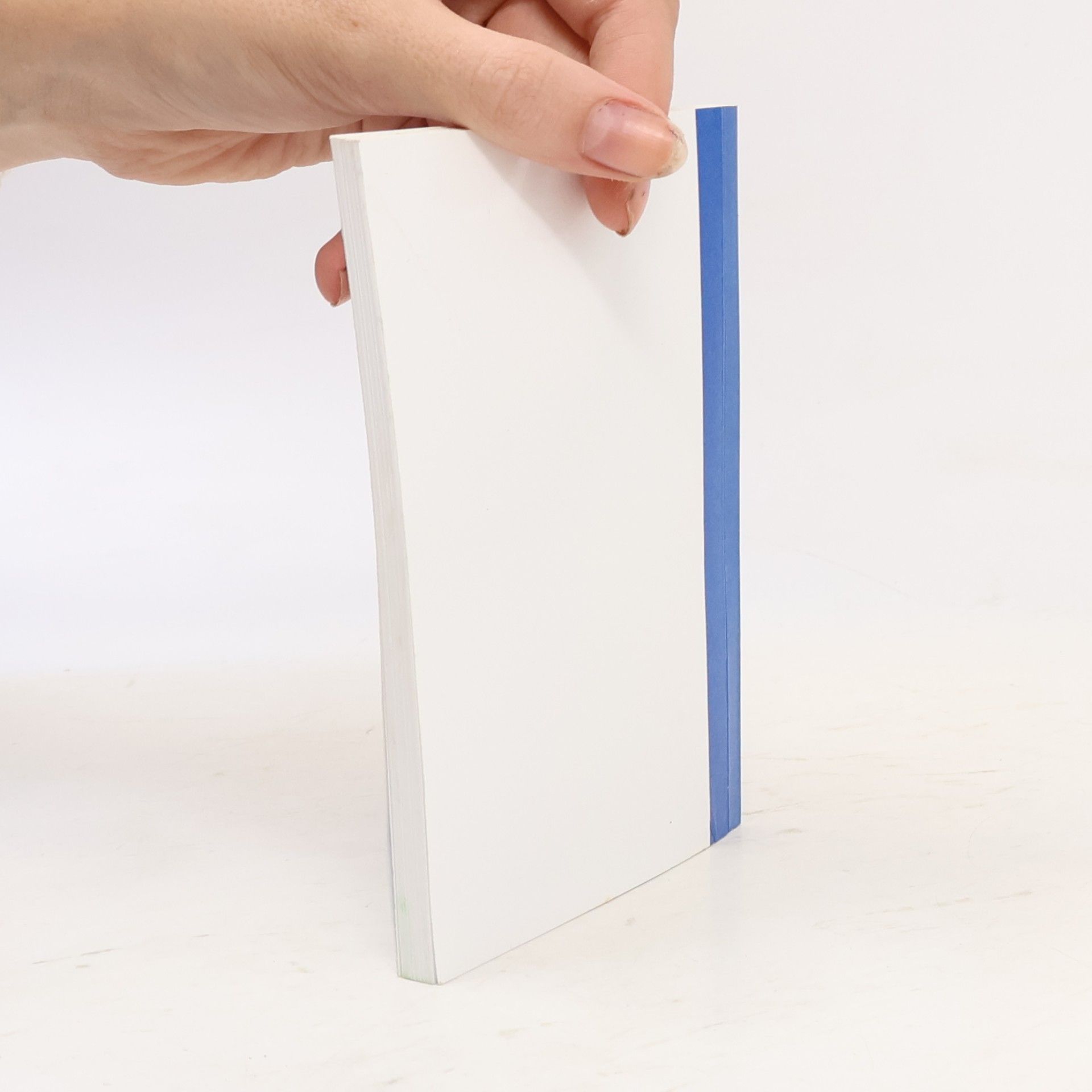 Praxishandbuch leiten · führen · motivieren: Das Handbuch für den Vorgesetzten