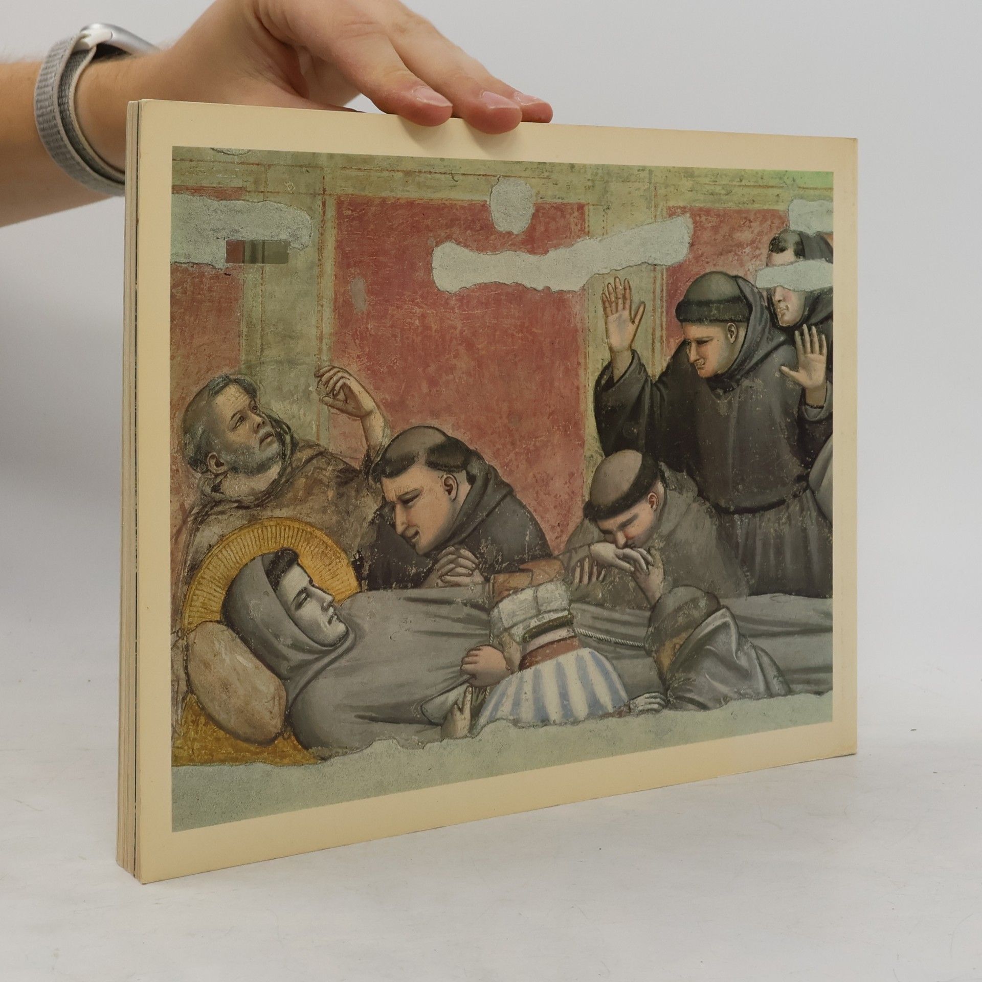 Xavier Schnieper Franziskus. Der Mann aus Assisi