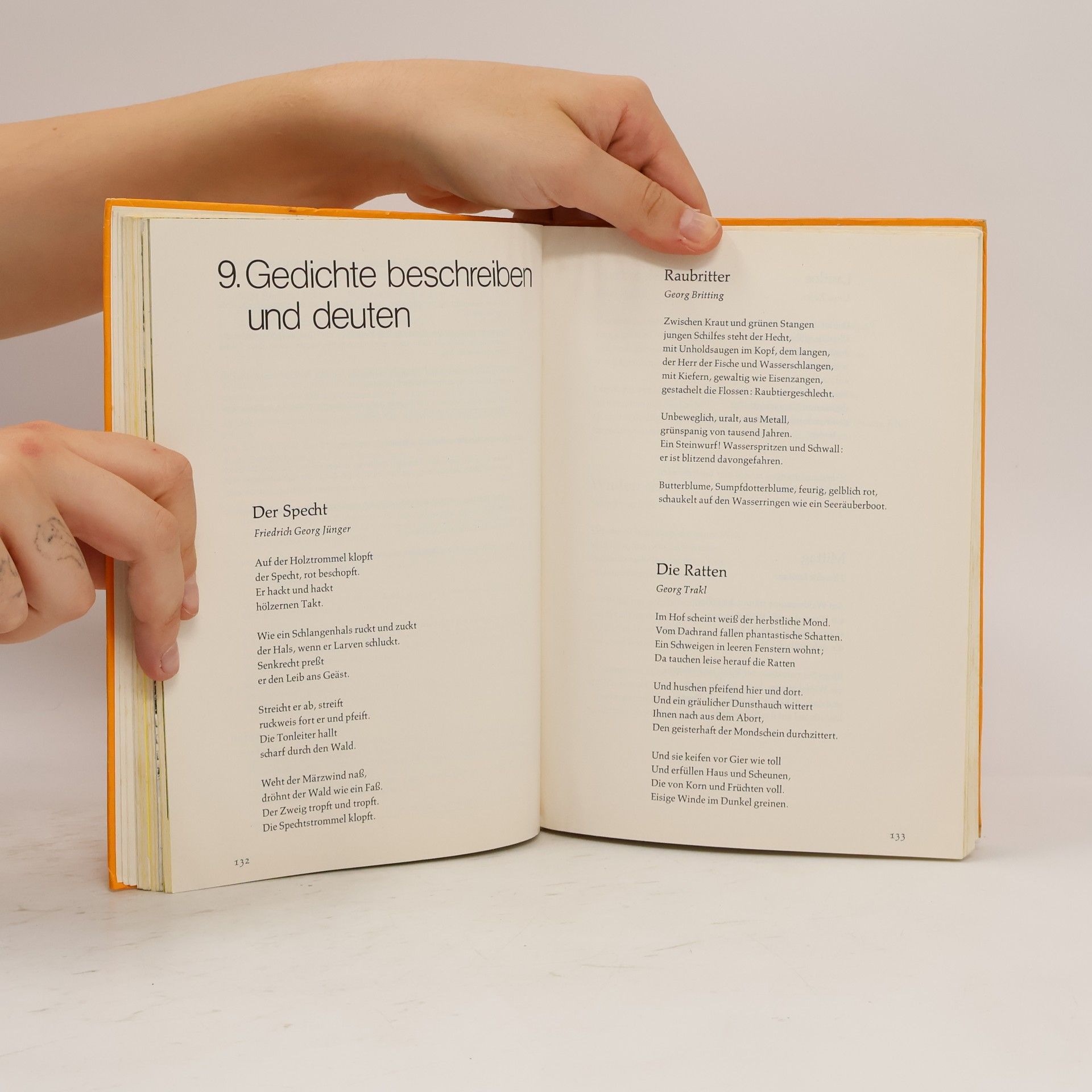 Martin Behrendt Westermann-Texte Deutsch