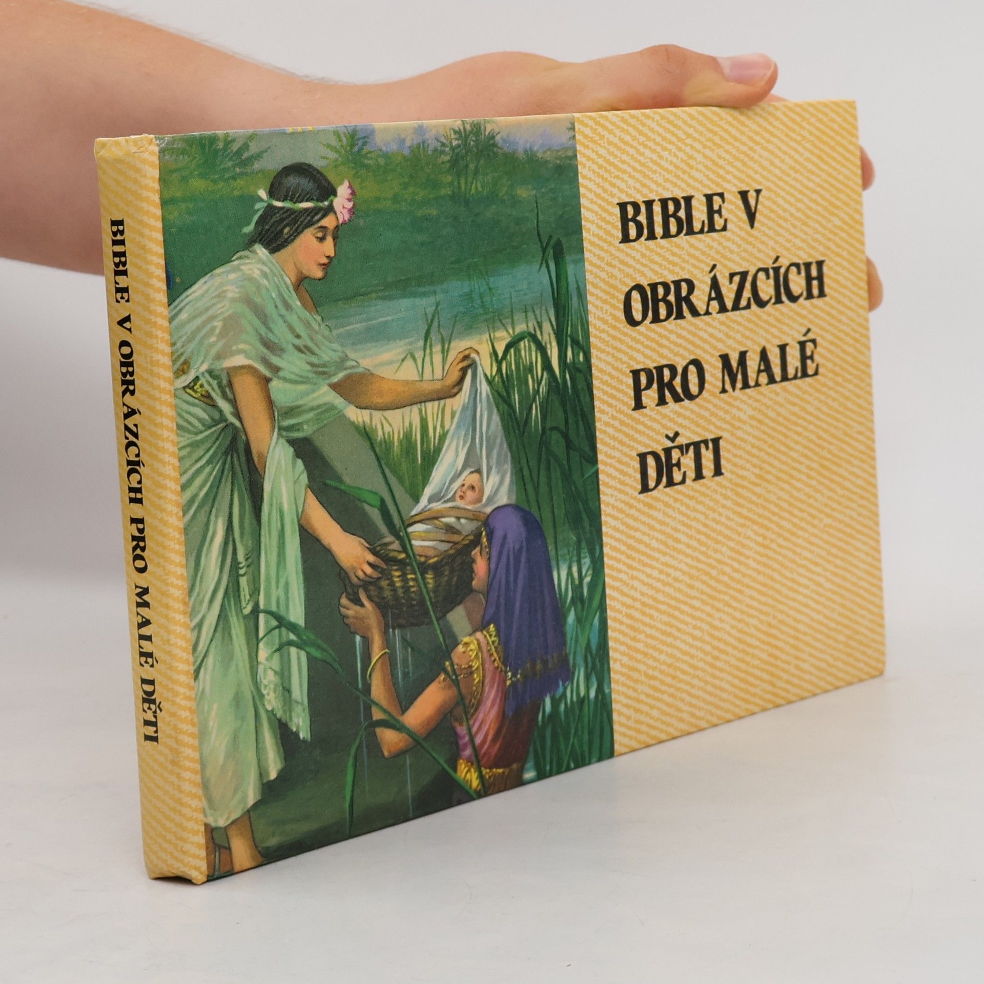 Kenneth N. Taylor Bible v obrázcích pro malé děti
