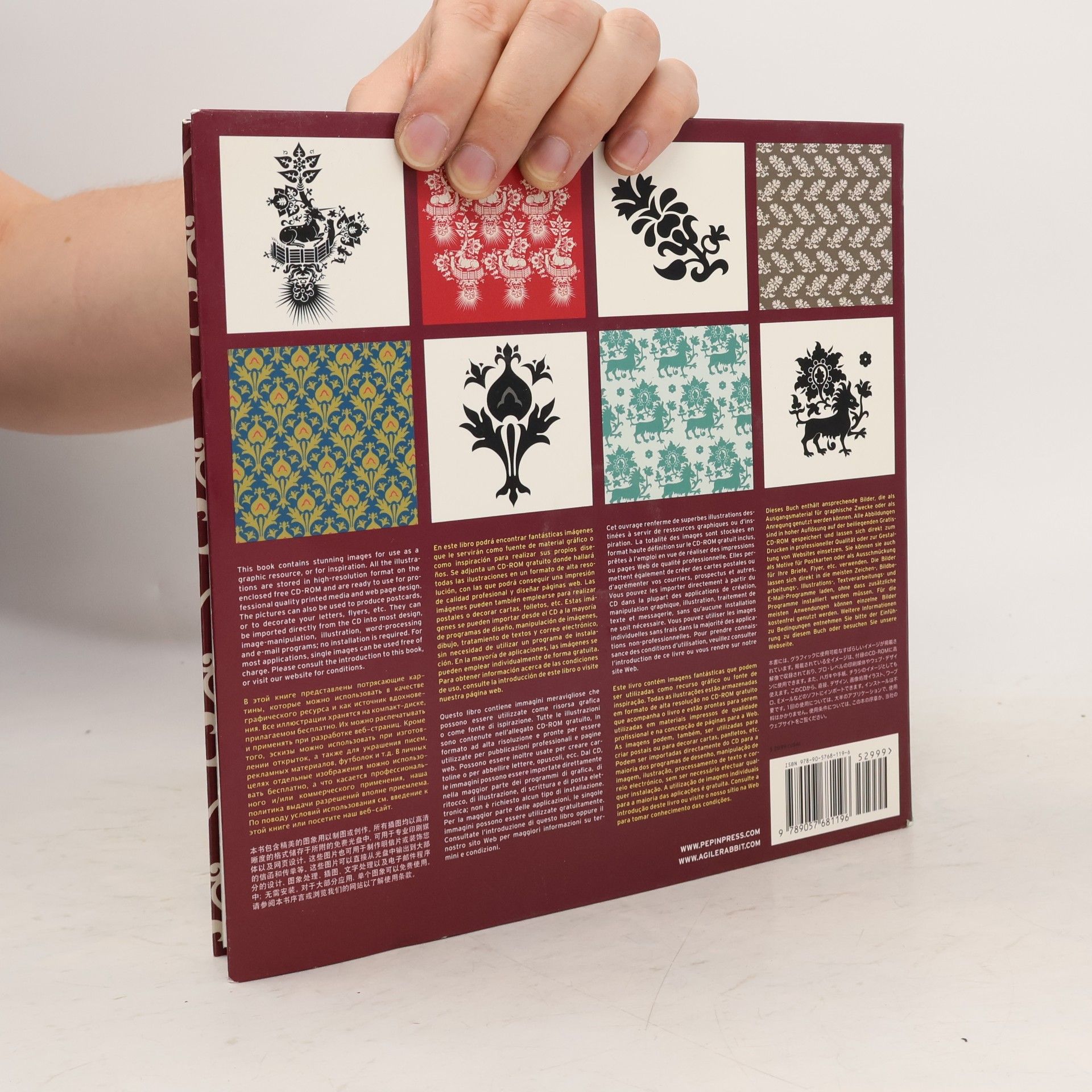 Pepin van Roojen Repeating Patterns