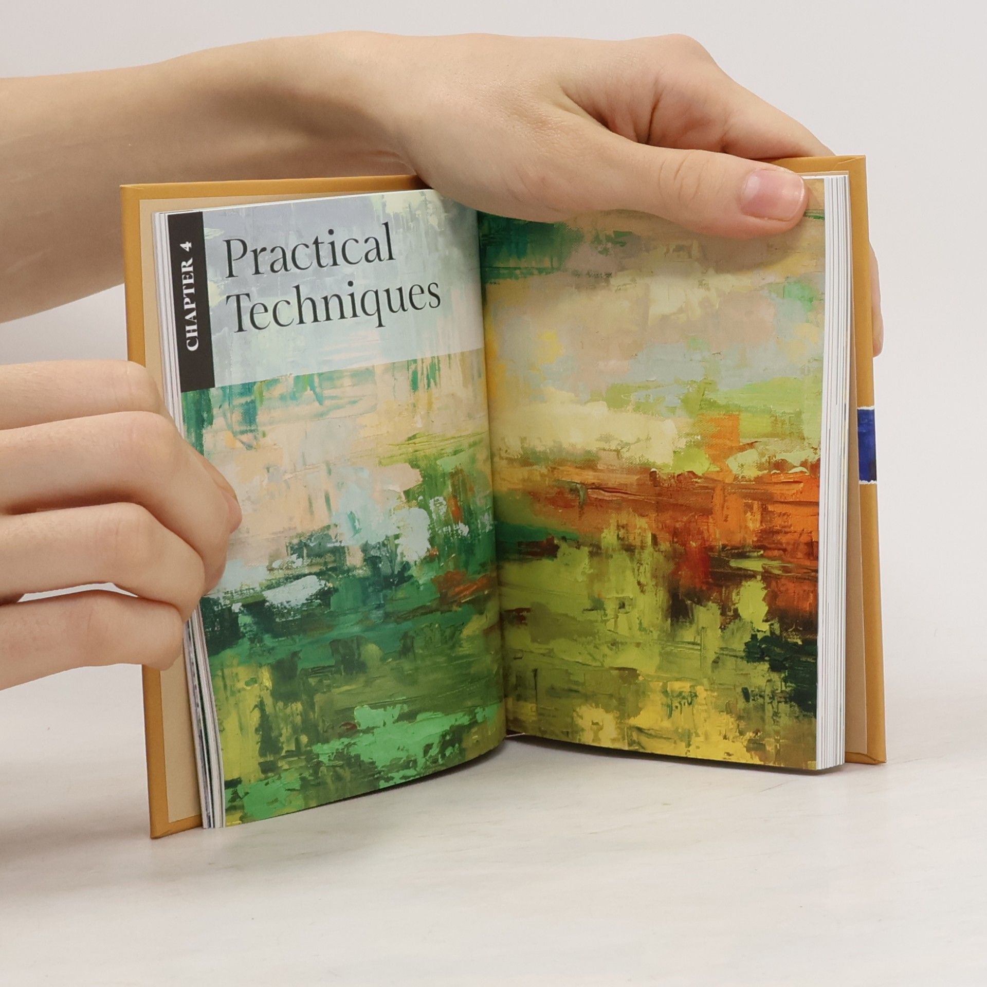 Maier, Scott The Little Book of Oil Painting Secrets: A World of Practical Art in Your Pocket: A World of Practical Art in Your Pocket