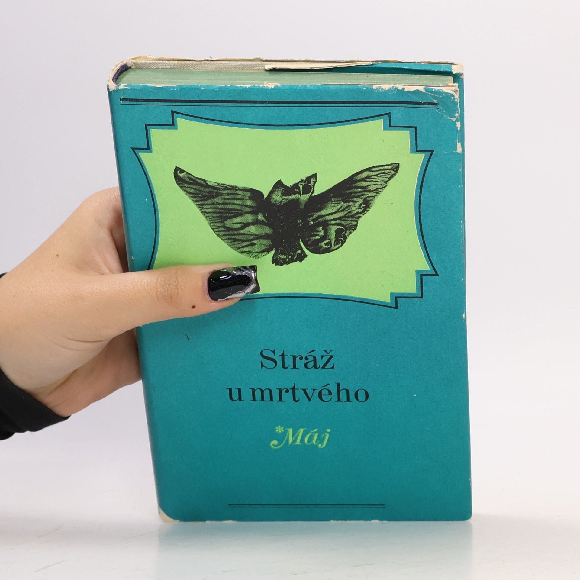 Autorenkollektiv Stráž u mrtvého